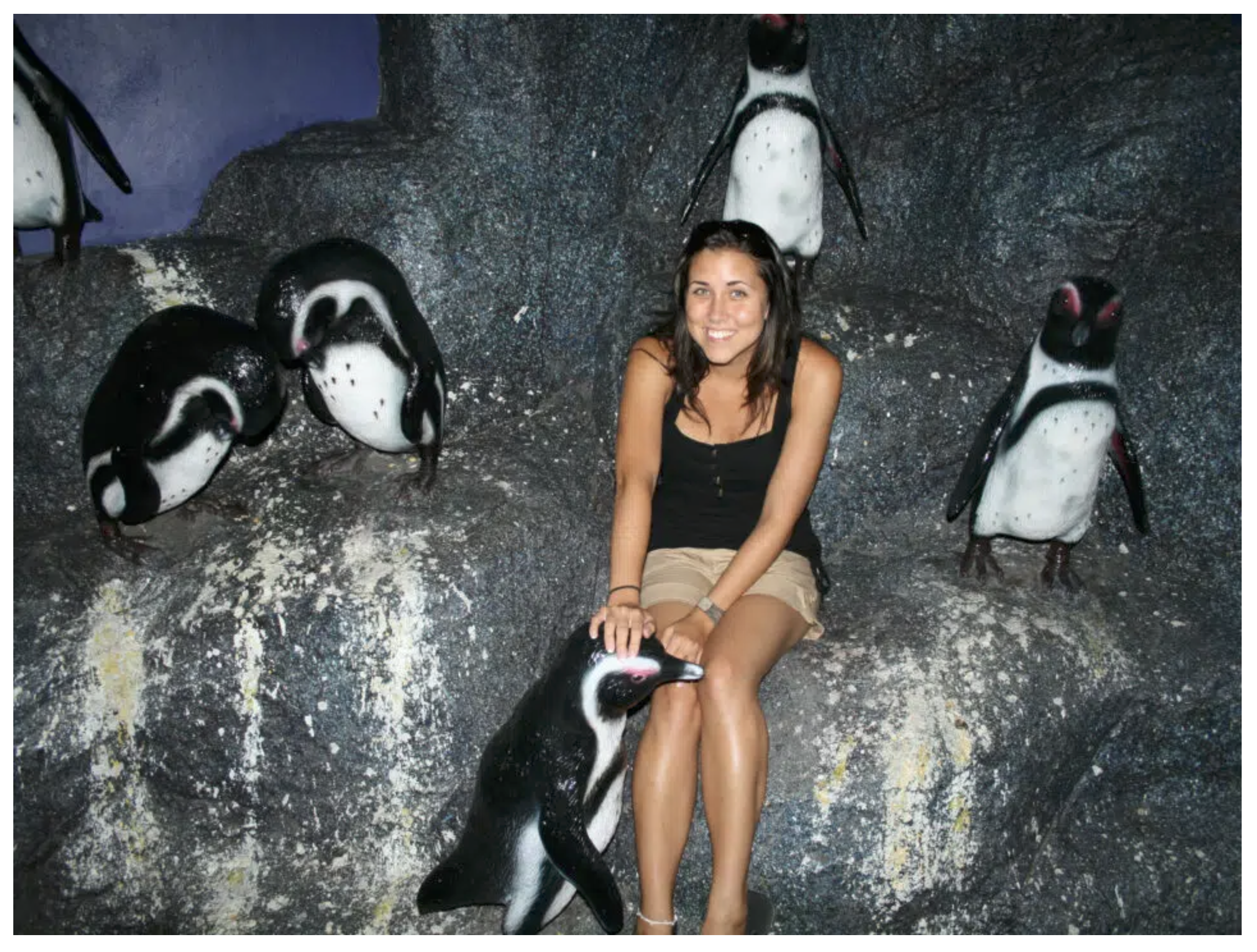 My Love of Wildlife
