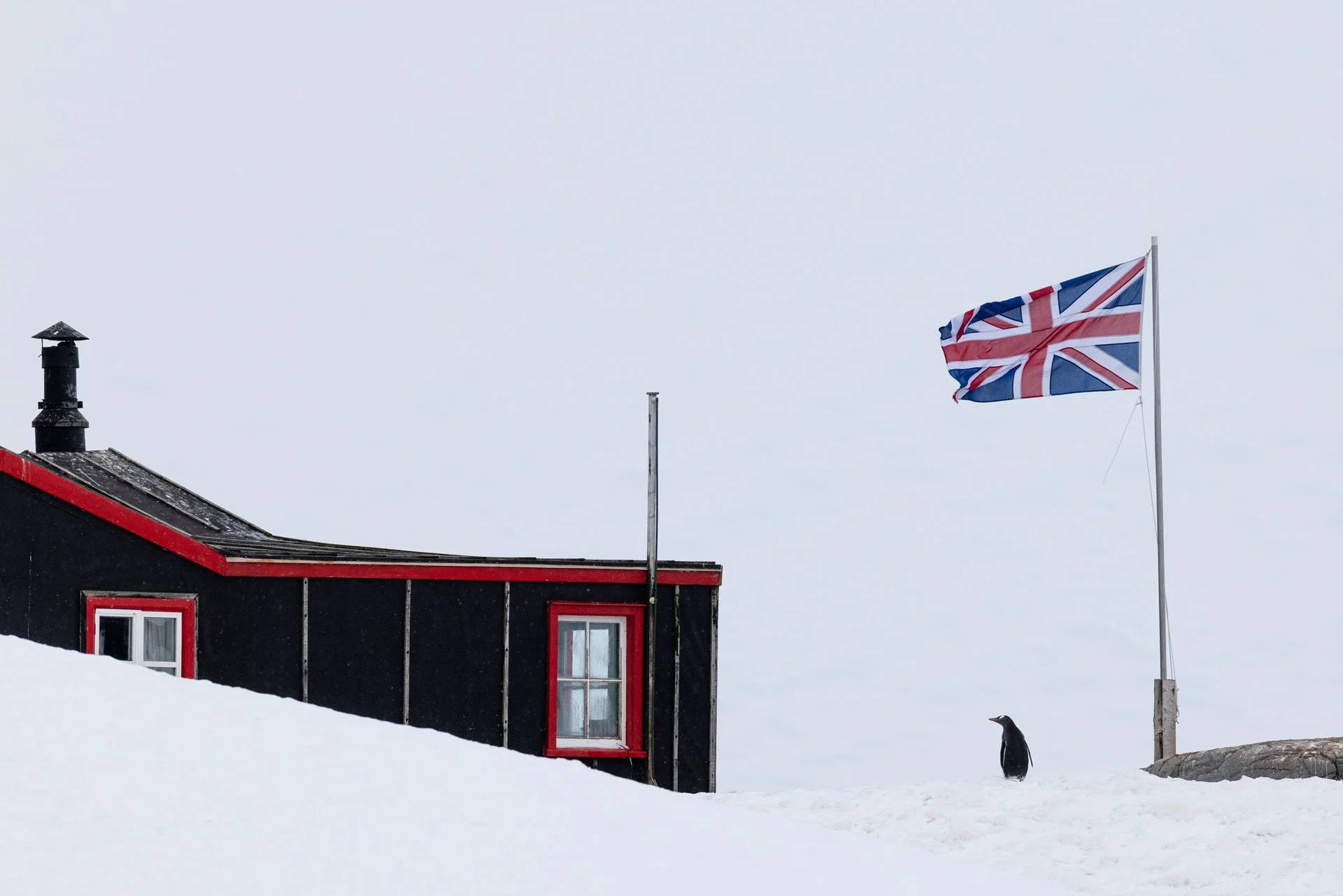 A black building with red window trims and a chimney, set against a snowy landscape. A Union Jack flag is flying on a pole, and a penguin stands on the snow near the flagpole.