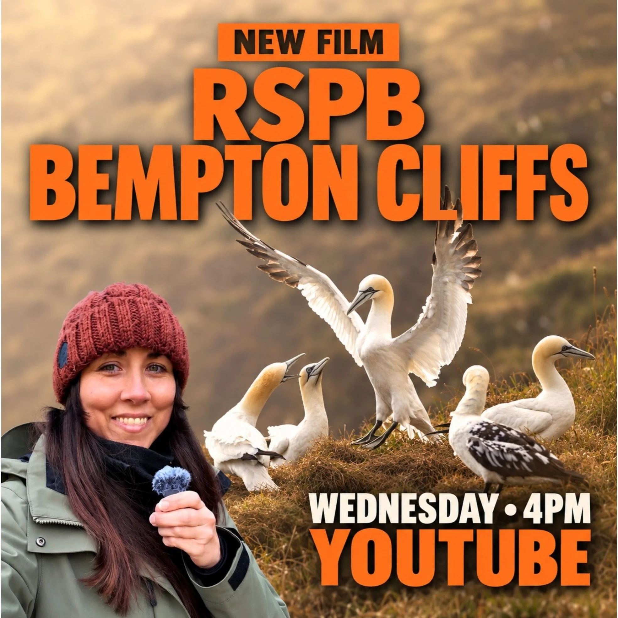 Tomorrow at 4pm!!

My first Si&acirc;n in the Wild film goes live on YouTube! 

Starting at RSPB Bempton Cliffs, surrounded by one of my favourite seabirds, the Northern Gannet! 

I&rsquo;m so excited to finally share this with you! Find me @sian_int