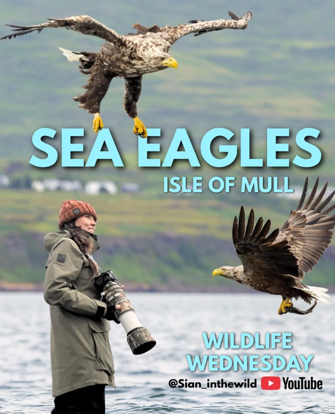 For the first time, I&rsquo;m photographing one of Britain&rsquo;s most incredible Birds of Prey - the White-Tailed Eagle! 

Join me as I head out with Mull Charters from the Isle of Mull, Scotland in search for Sea Eagles, with just a handful of opp