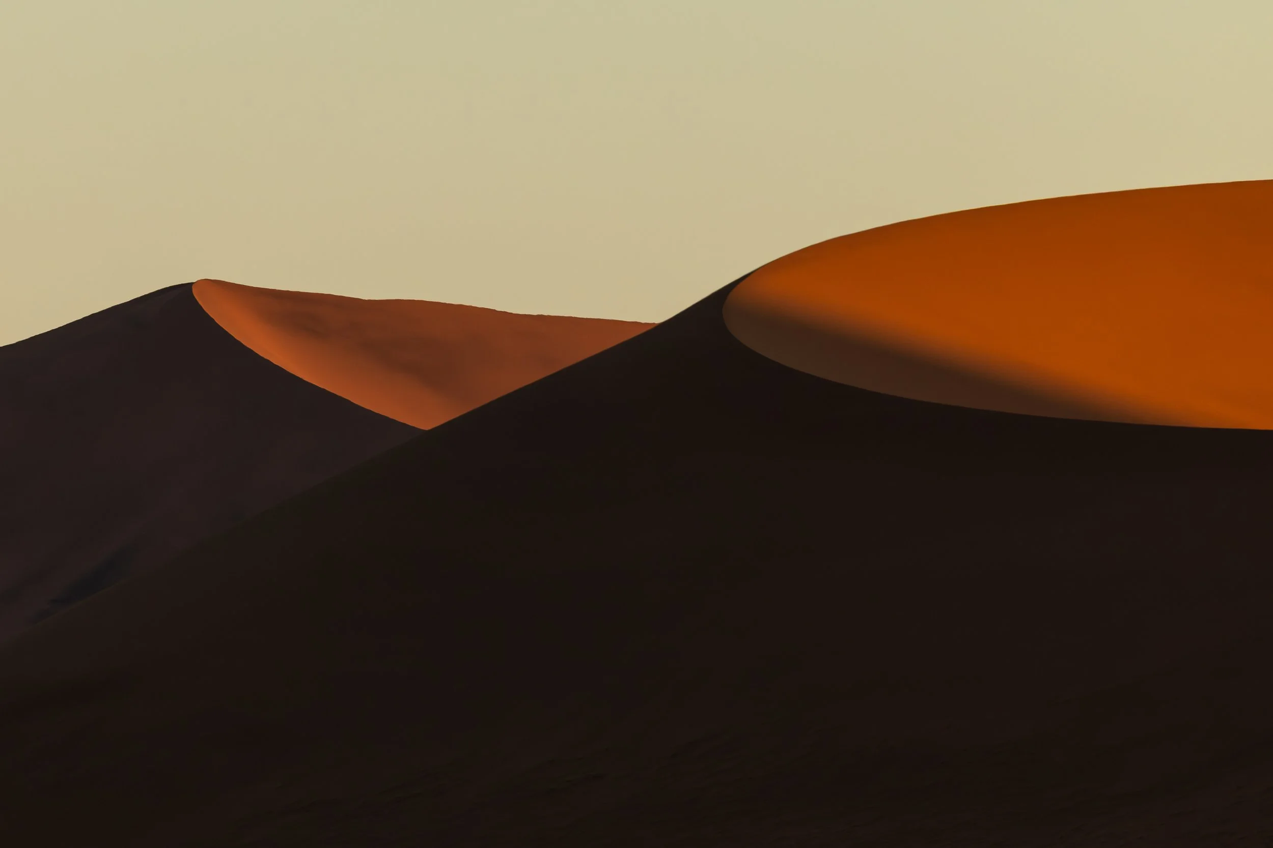 _5II4621.jpg