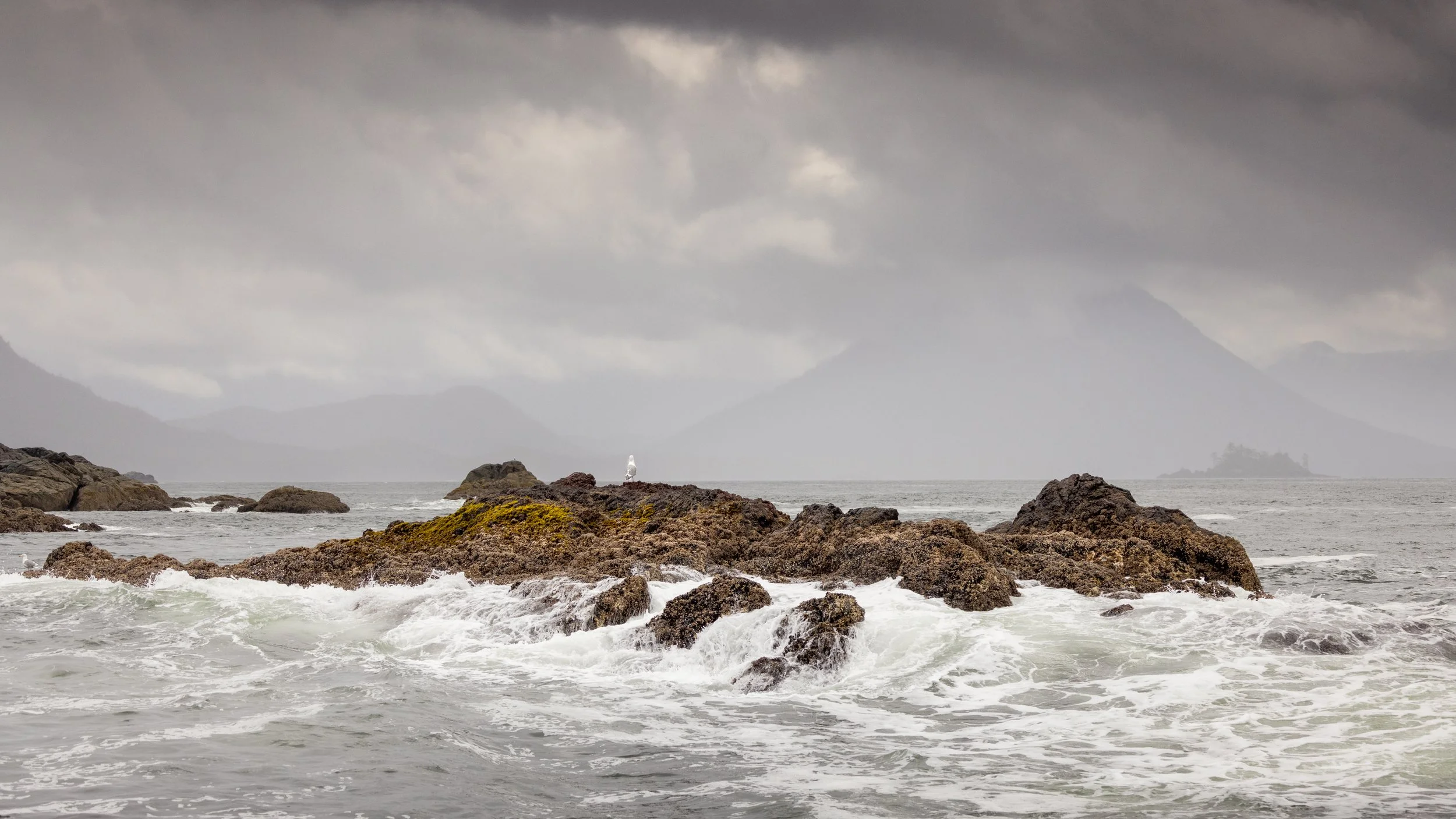 _N9A3640-Edit.jpg