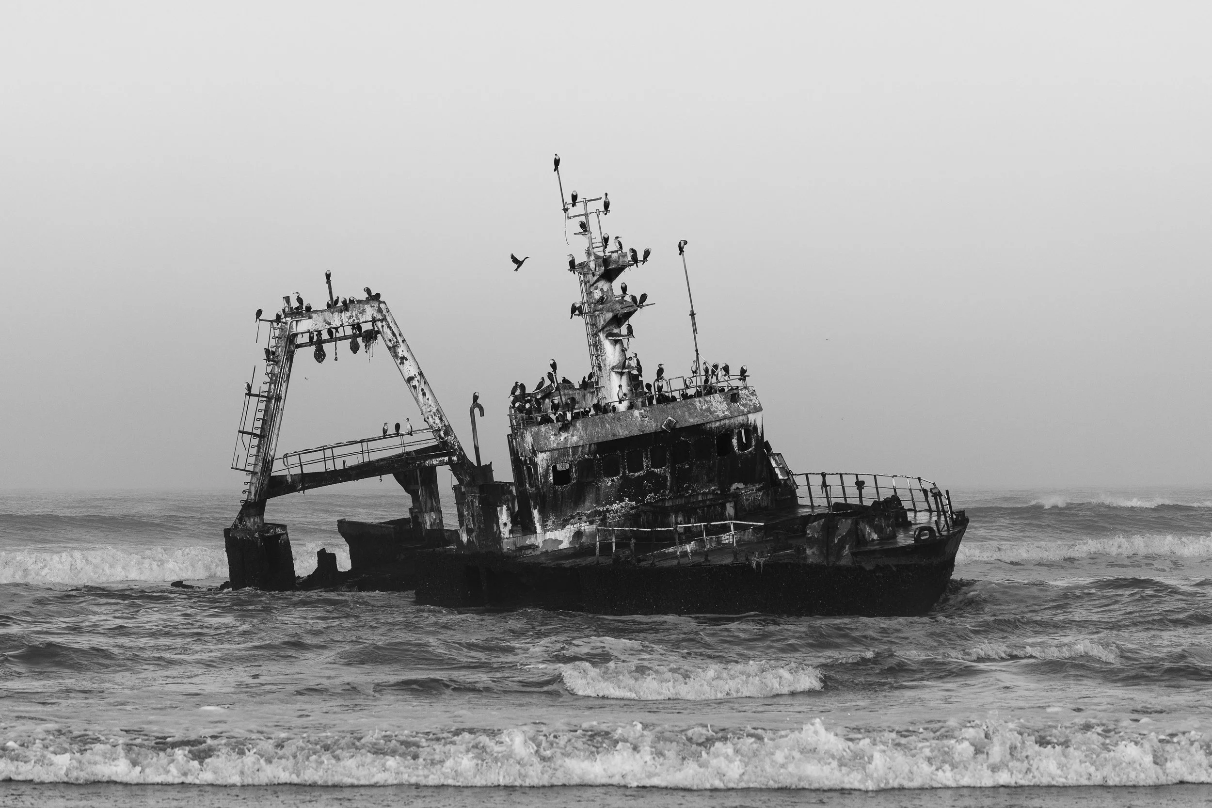 _5II6704.jpg