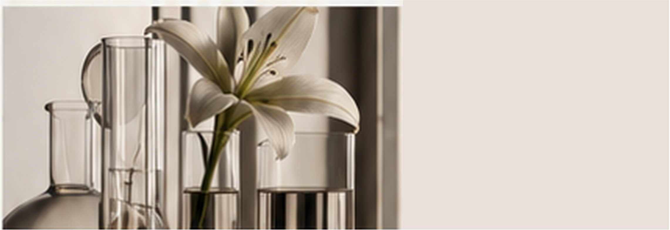 White lily flower in a glass test tube with other glass containers in a laboratory setting.