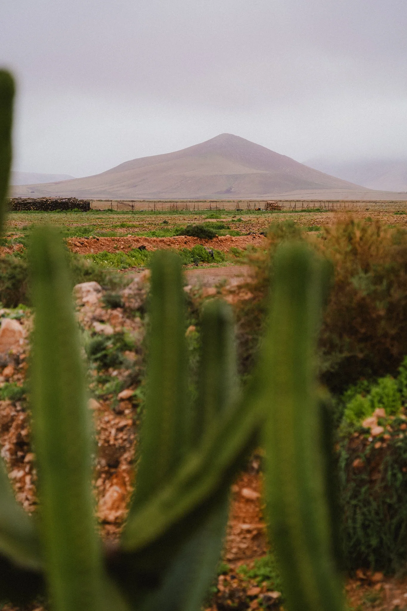 Fuerte-4.jpg