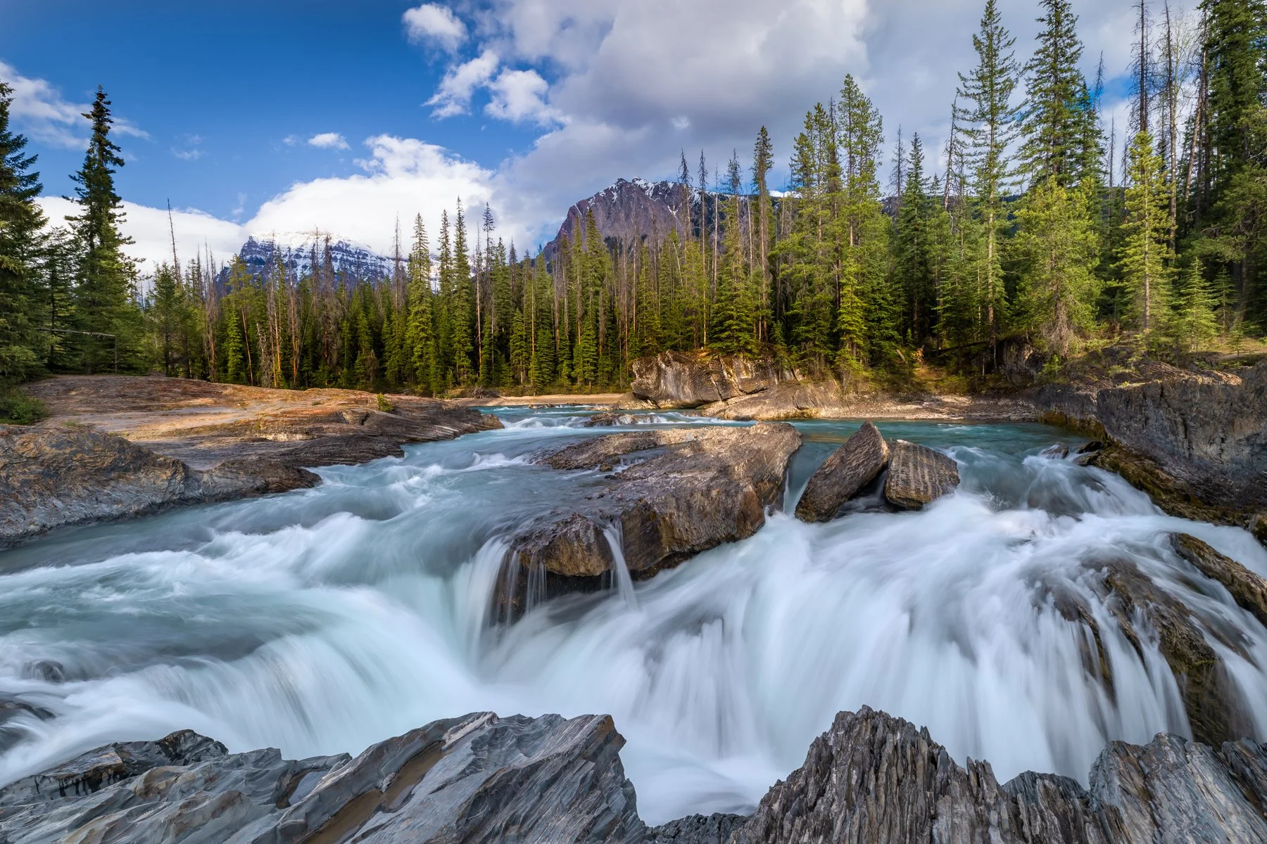 Yoho Natl Park-IMG_4712-.jpg