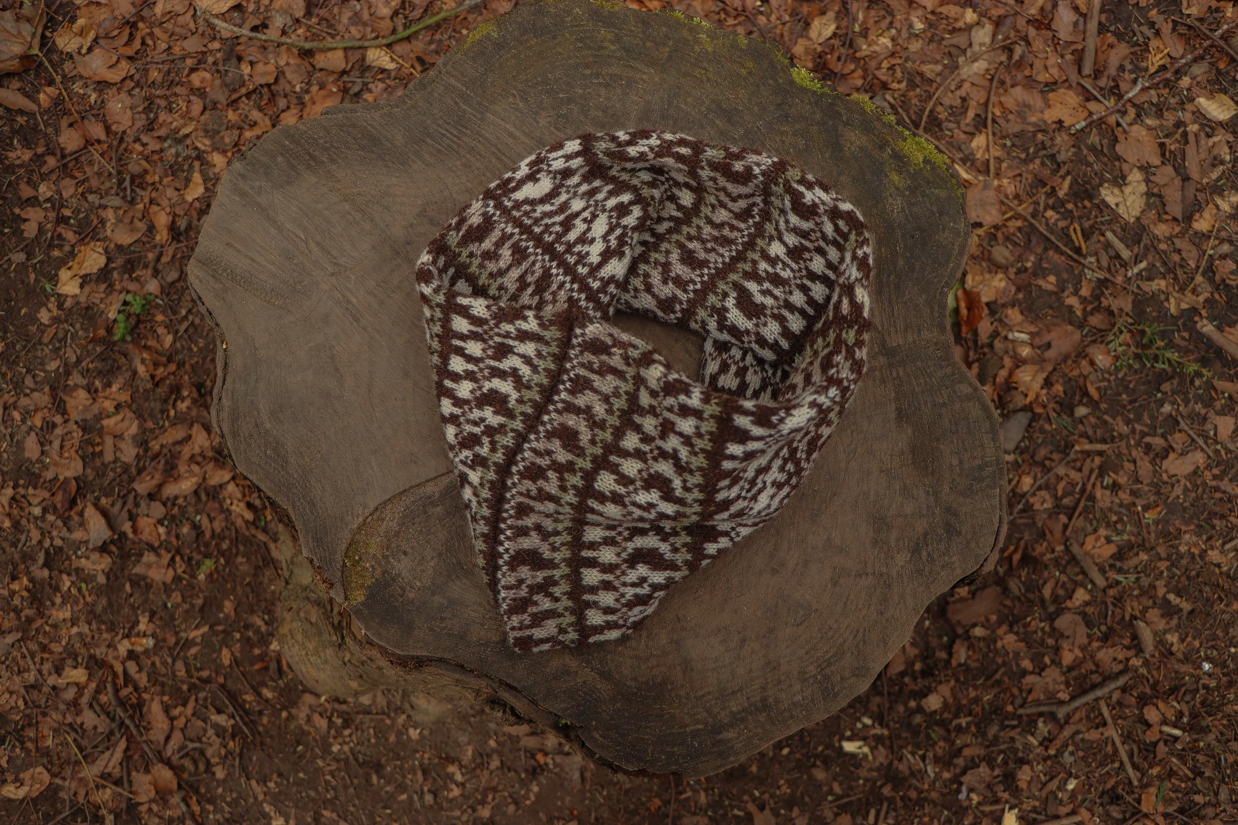 A knitted scarf with a brown, white, and black pattern resting on a tree stump in a forest with fallen leaves.