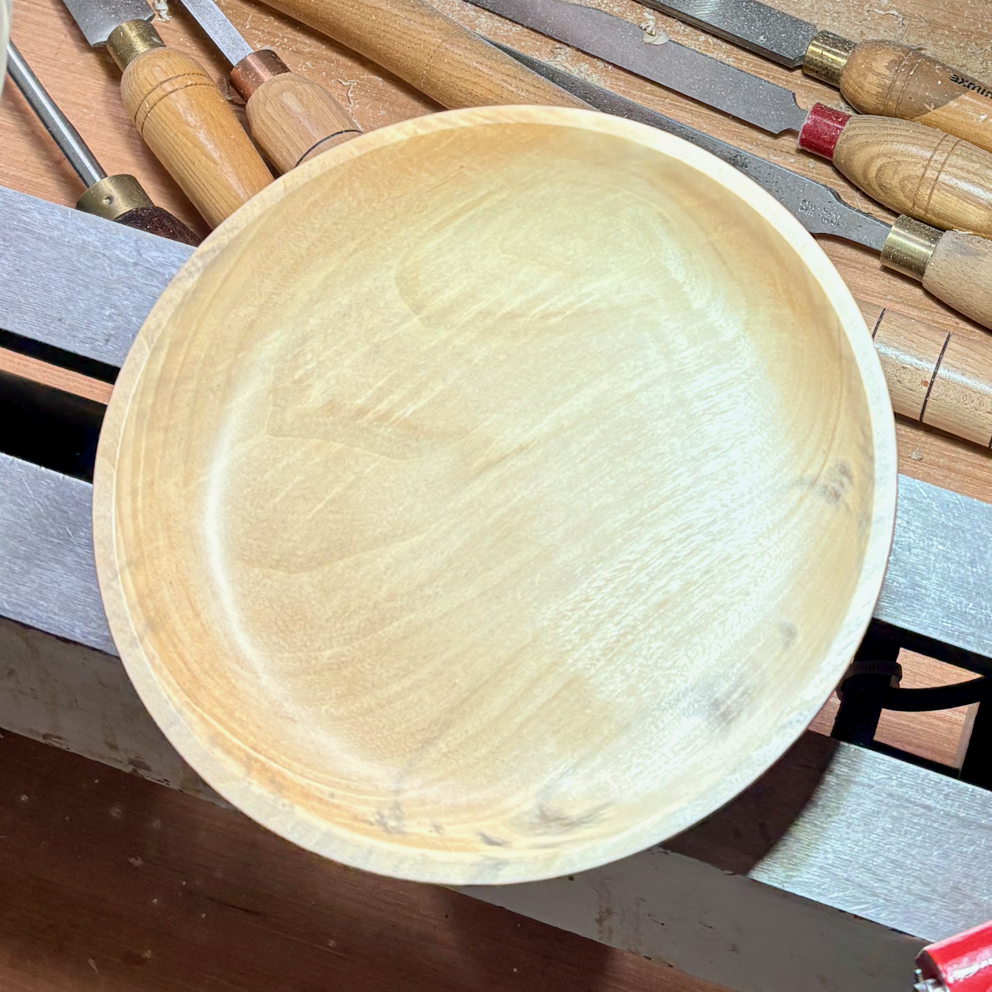 Spalted Poplar