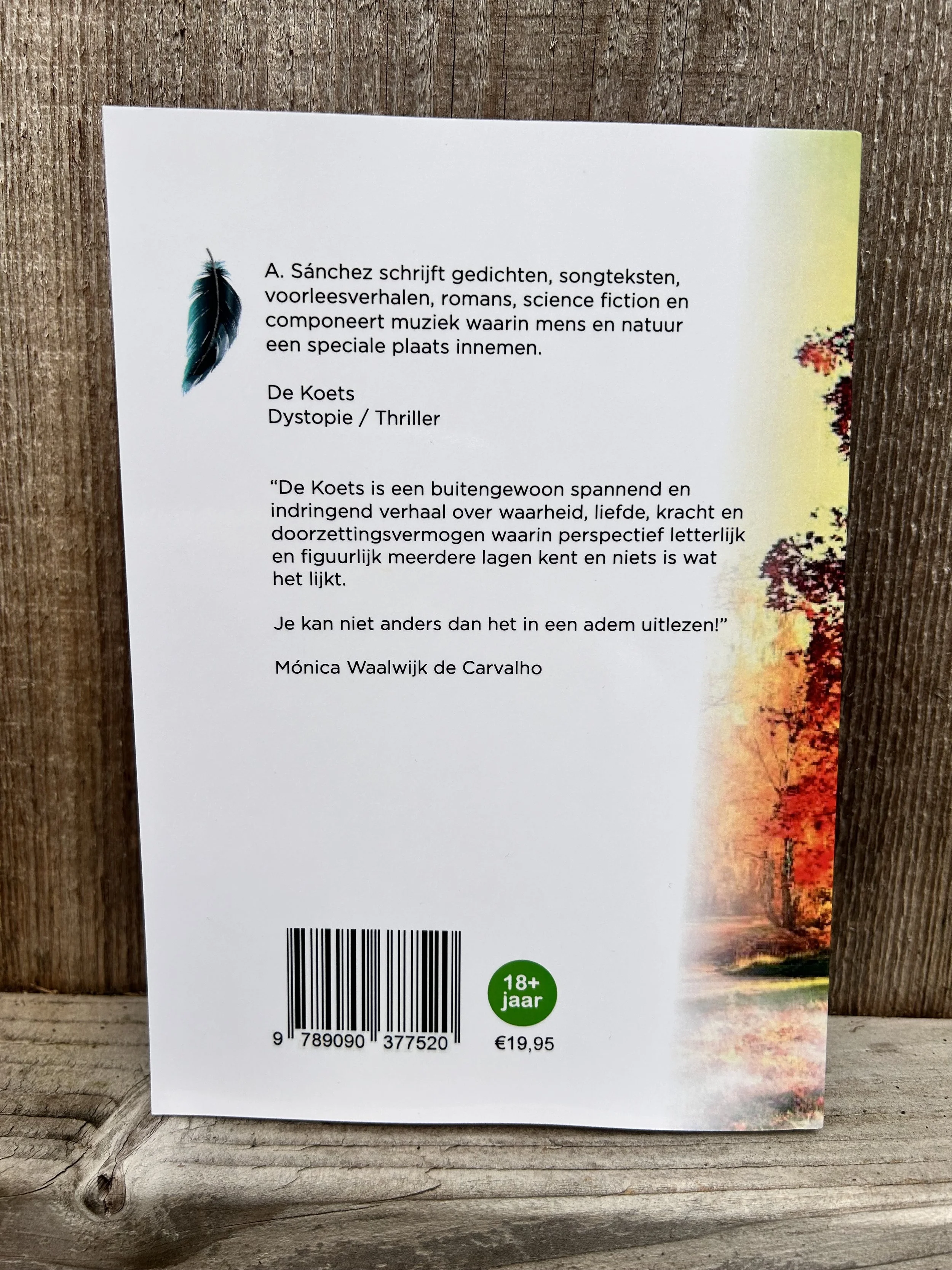 dekoetsachter.jpg
