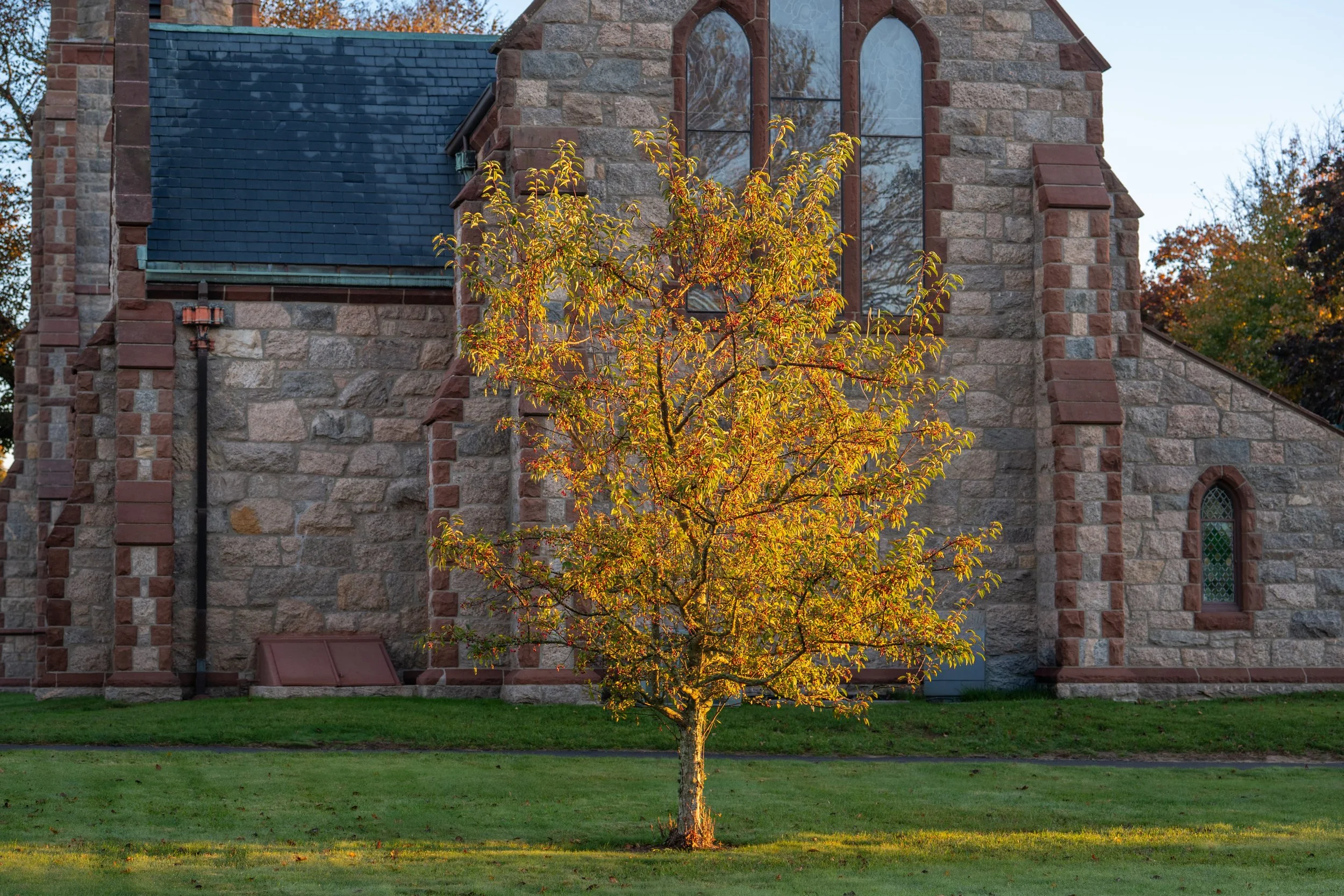 Fall on Campus.jpg