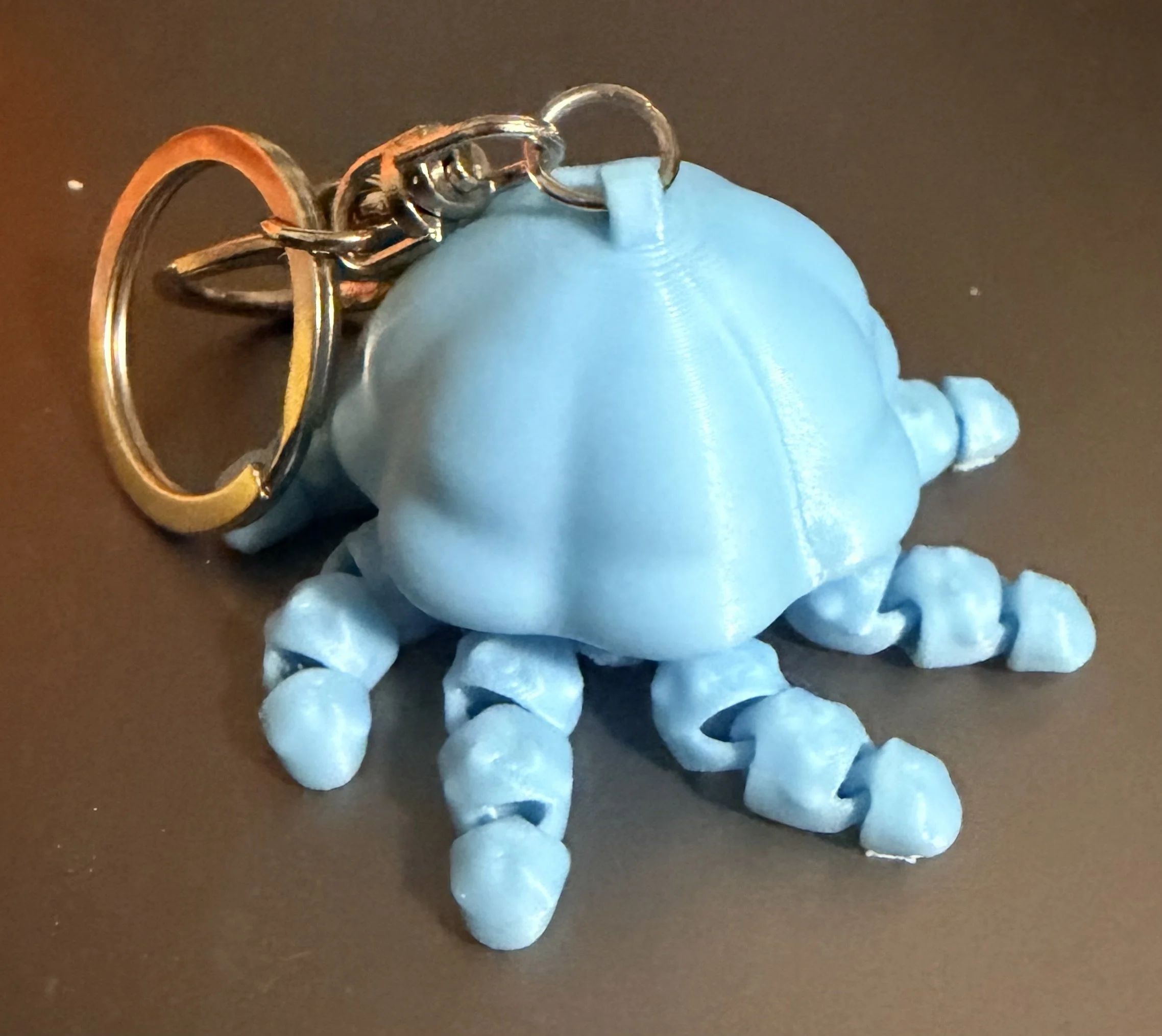 Jellyfish key chain