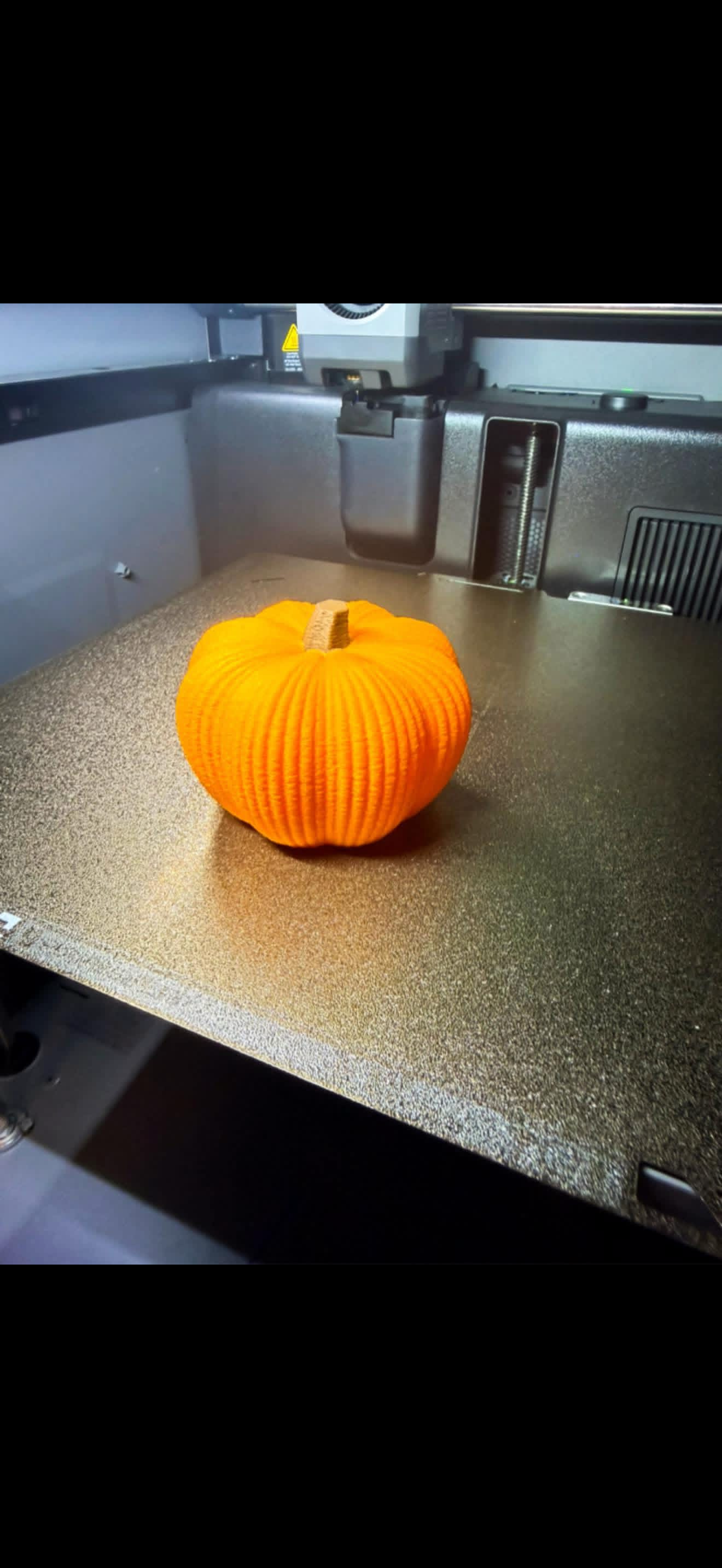 Fall pumpkin