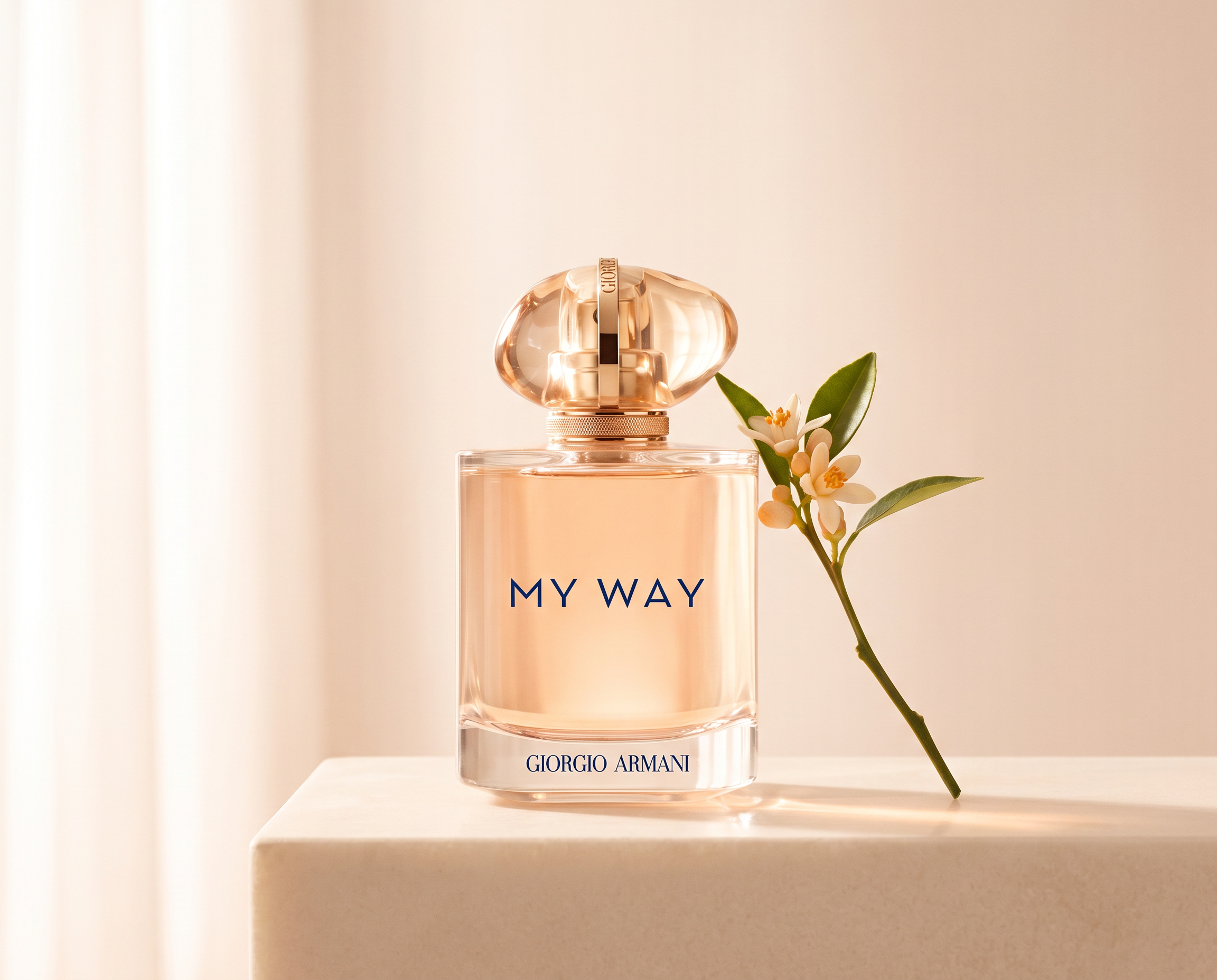 Giorgio-Armani-my-way6.png