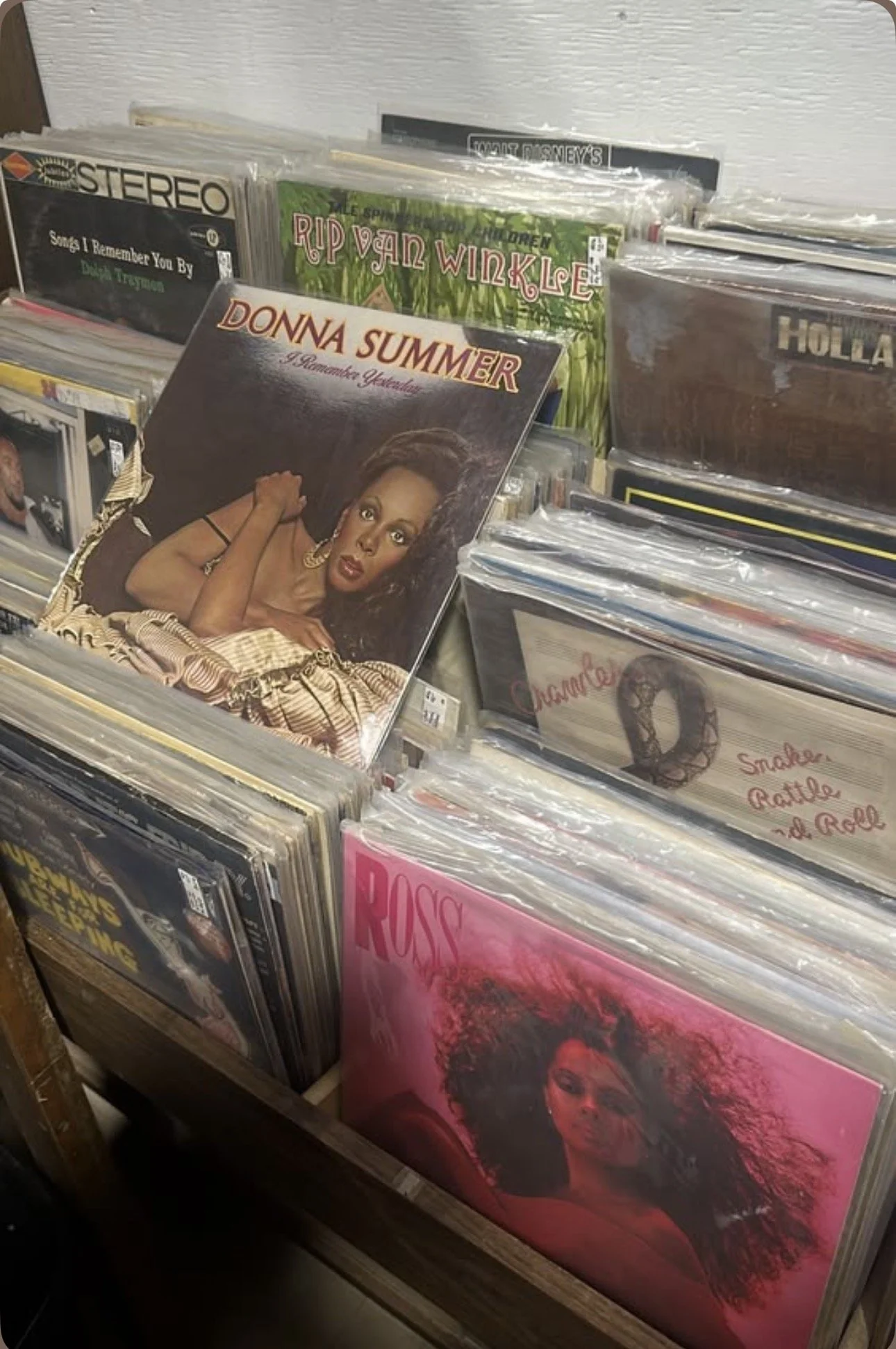 A vinyl record display shelf with various album covers, including a prominent cover of Donna Summer, and others such as Rupa Van Winkle and Hollaback Girl.