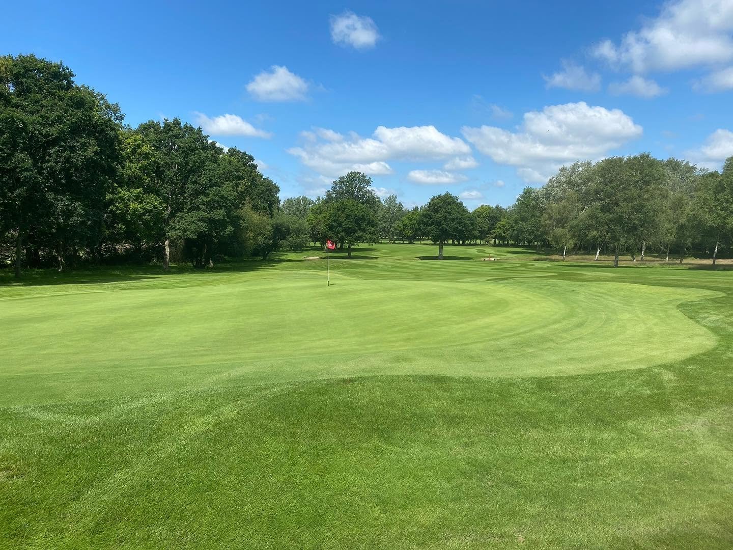 A golf course with a putting green and a flagstick in the center, surrounded by trees under a bright blue sky with scattered clouds.