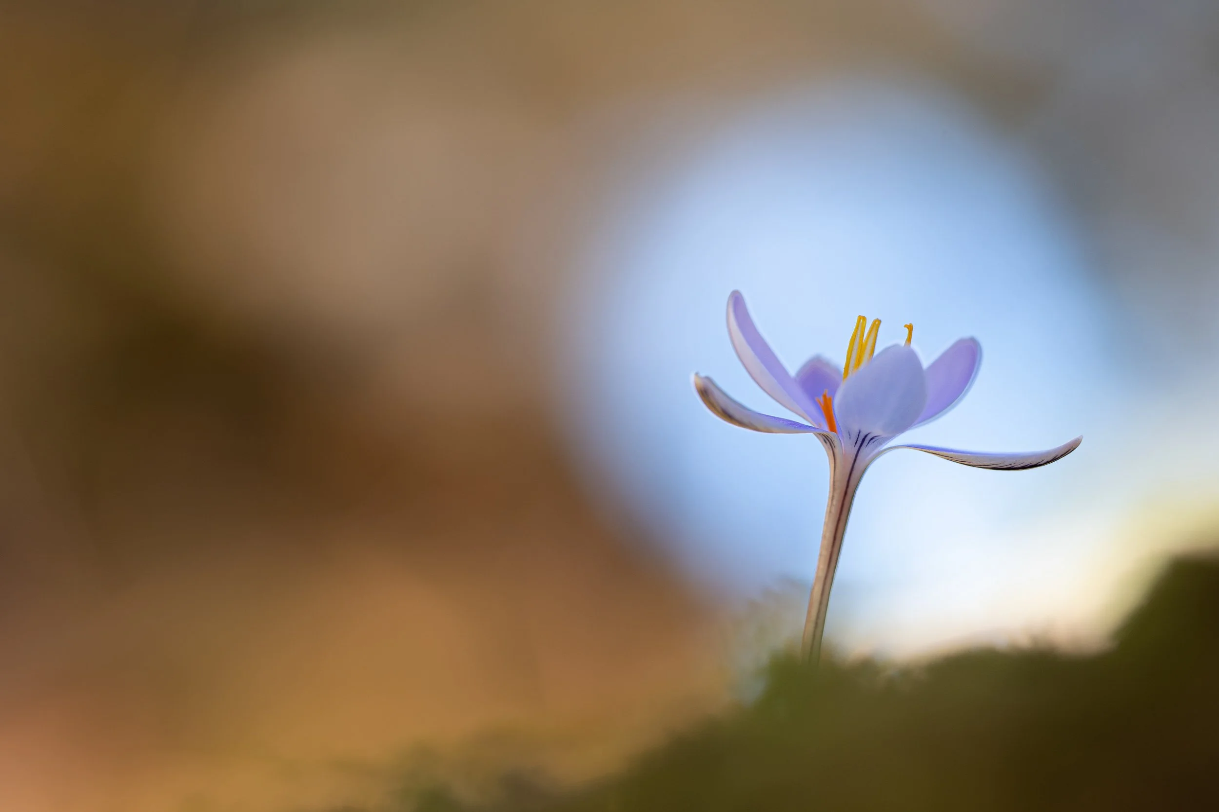 Naturaleza-5.jpg