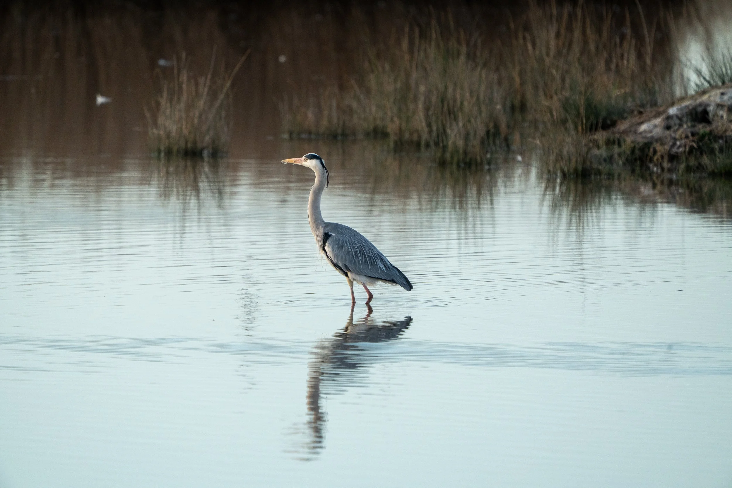 Naturaleza-1.jpg