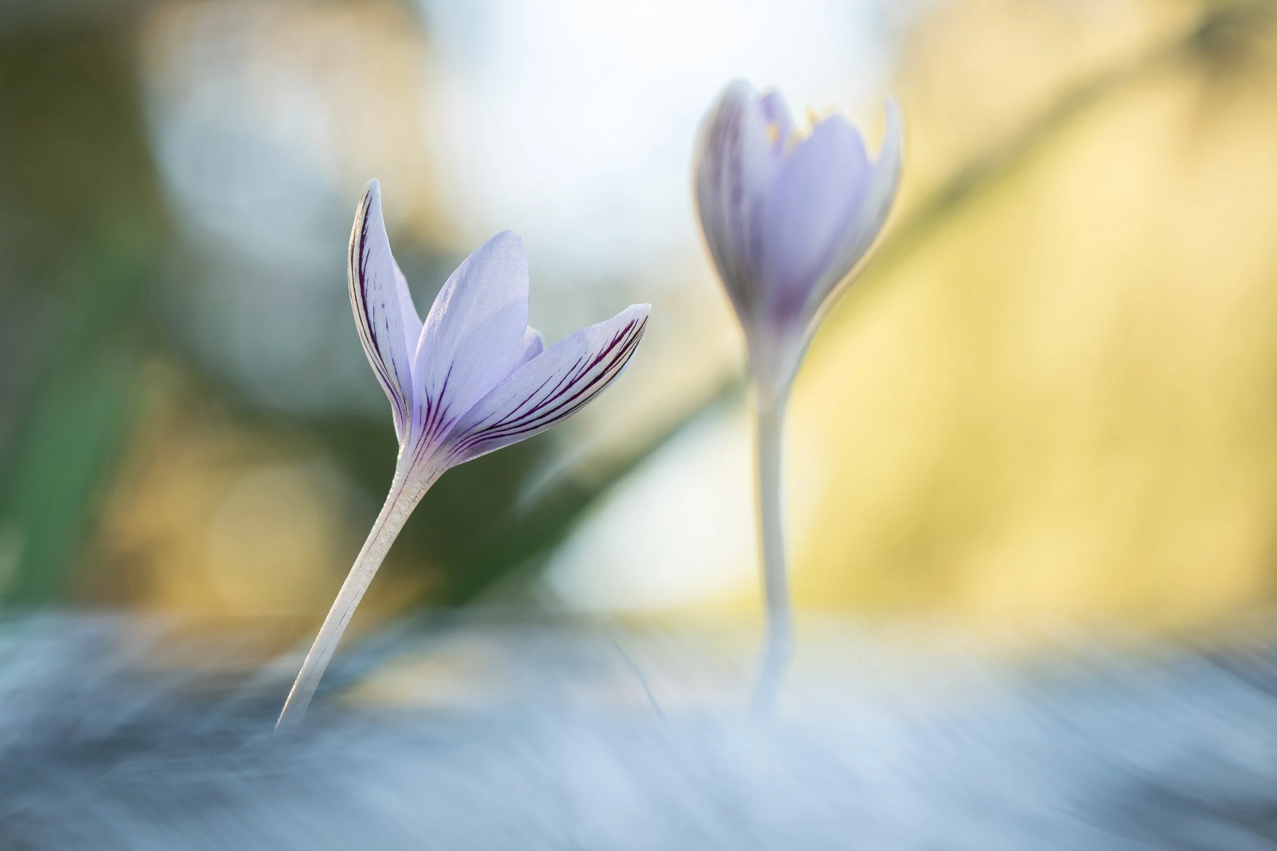 Naturaleza-14.jpg