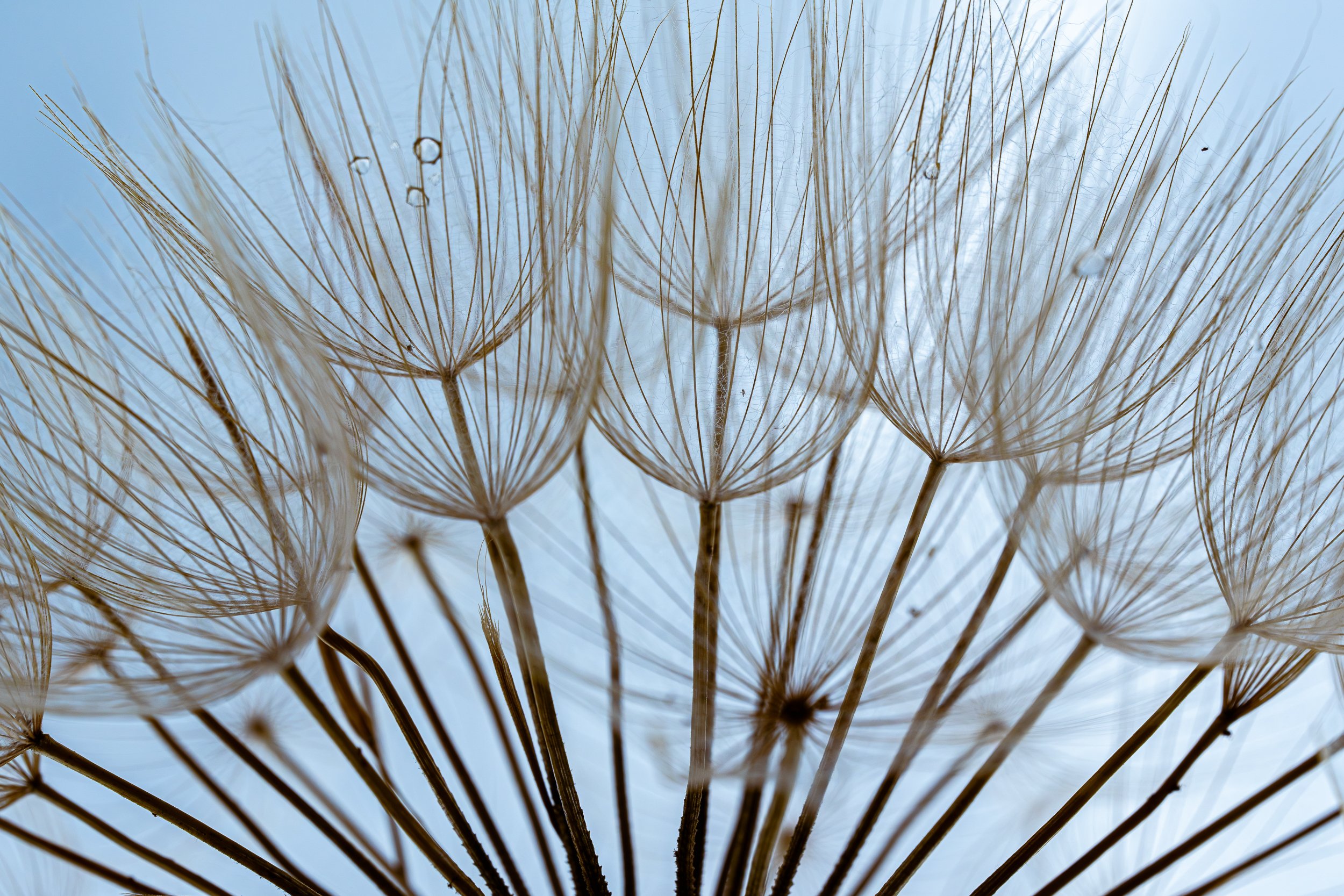 Naturaleza-20.jpg