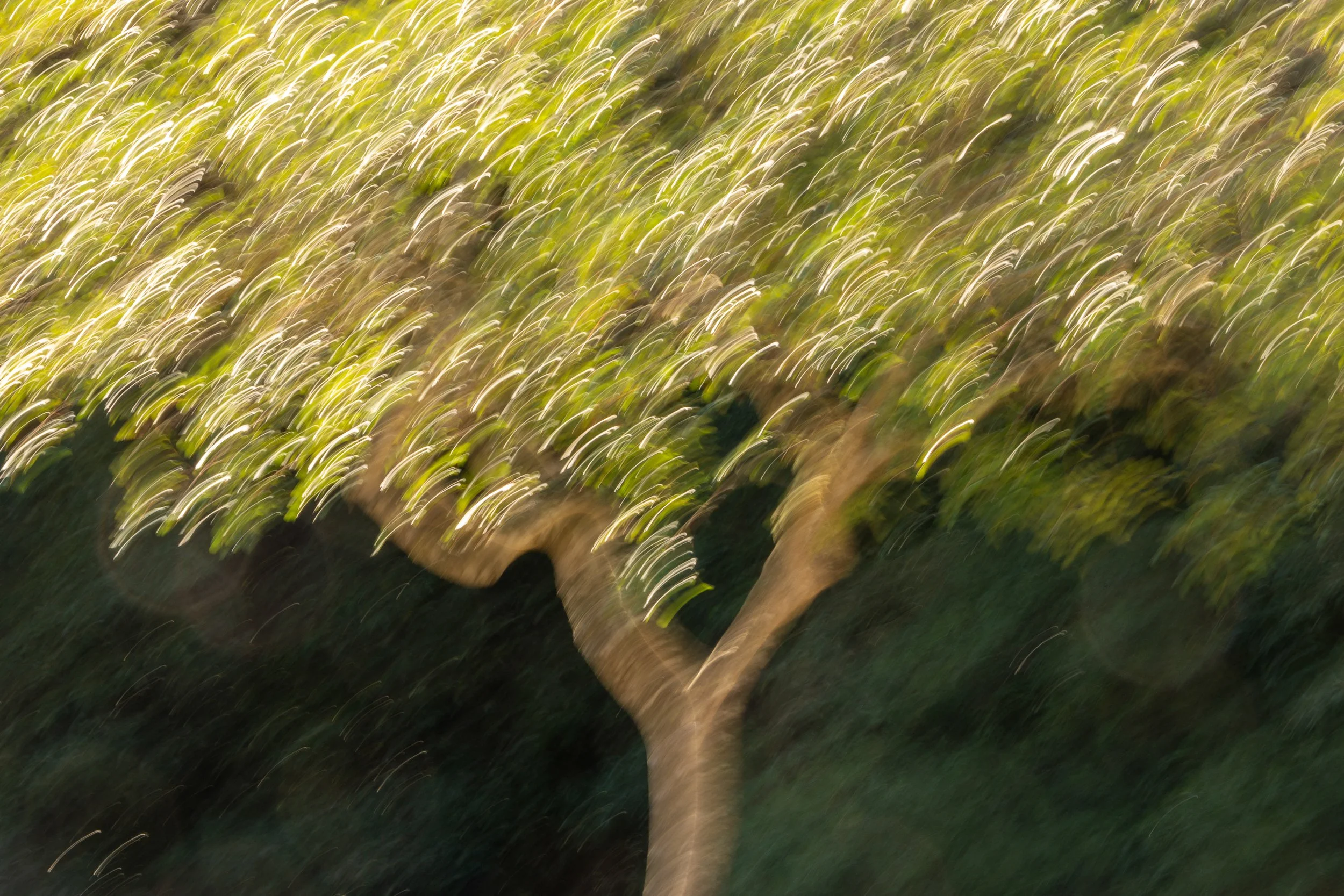Naturaleza-17.jpg