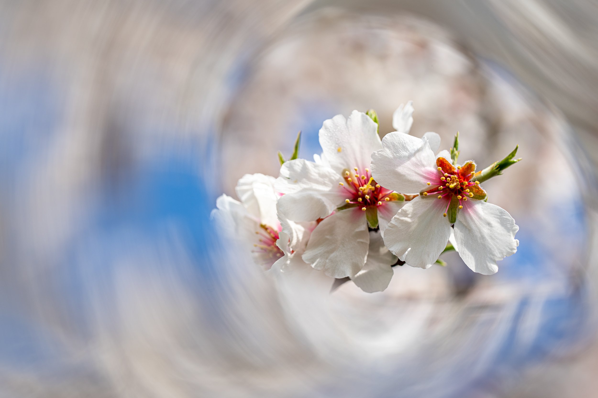 Naturaleza-6.jpg