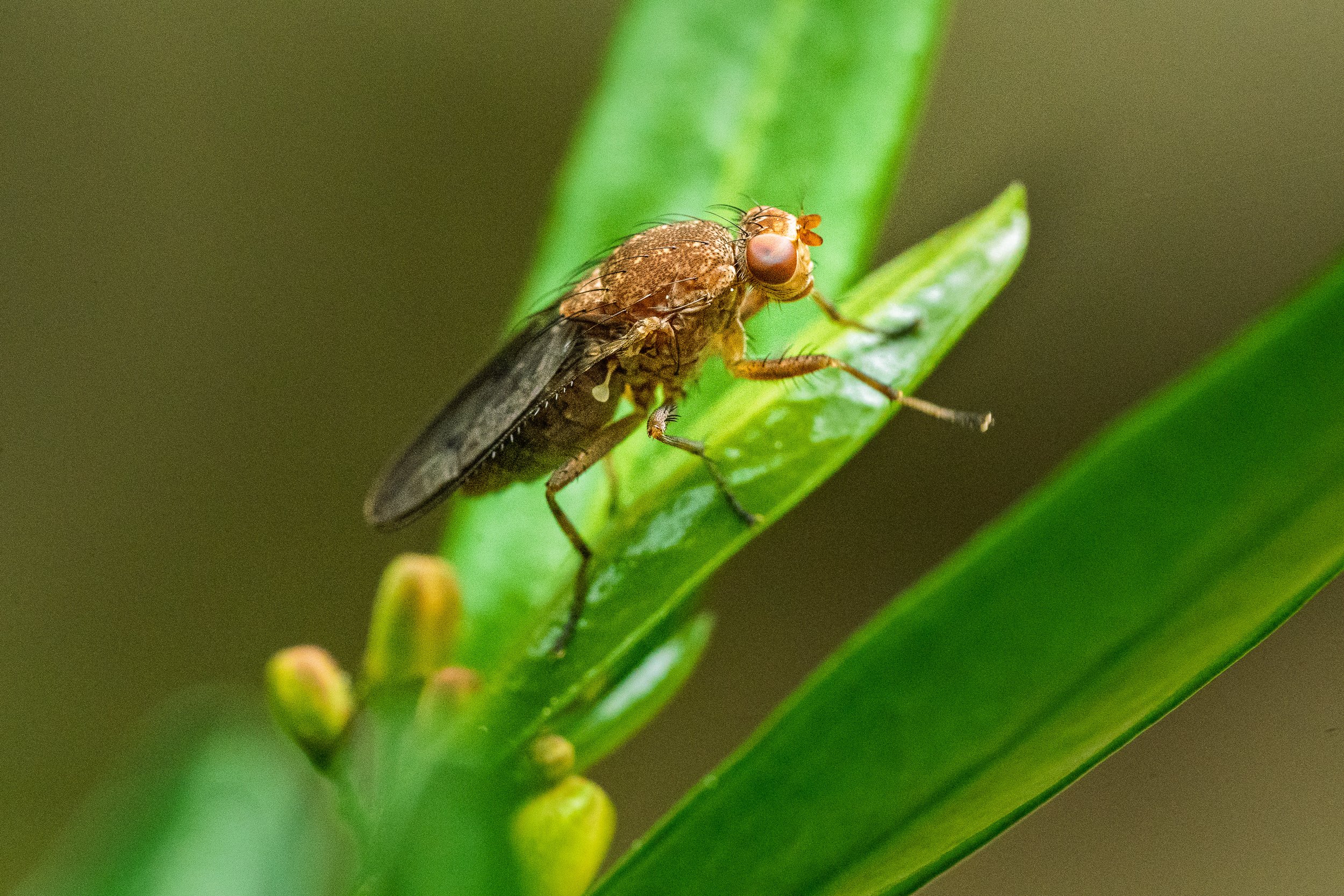 Naturaleza-10.jpg