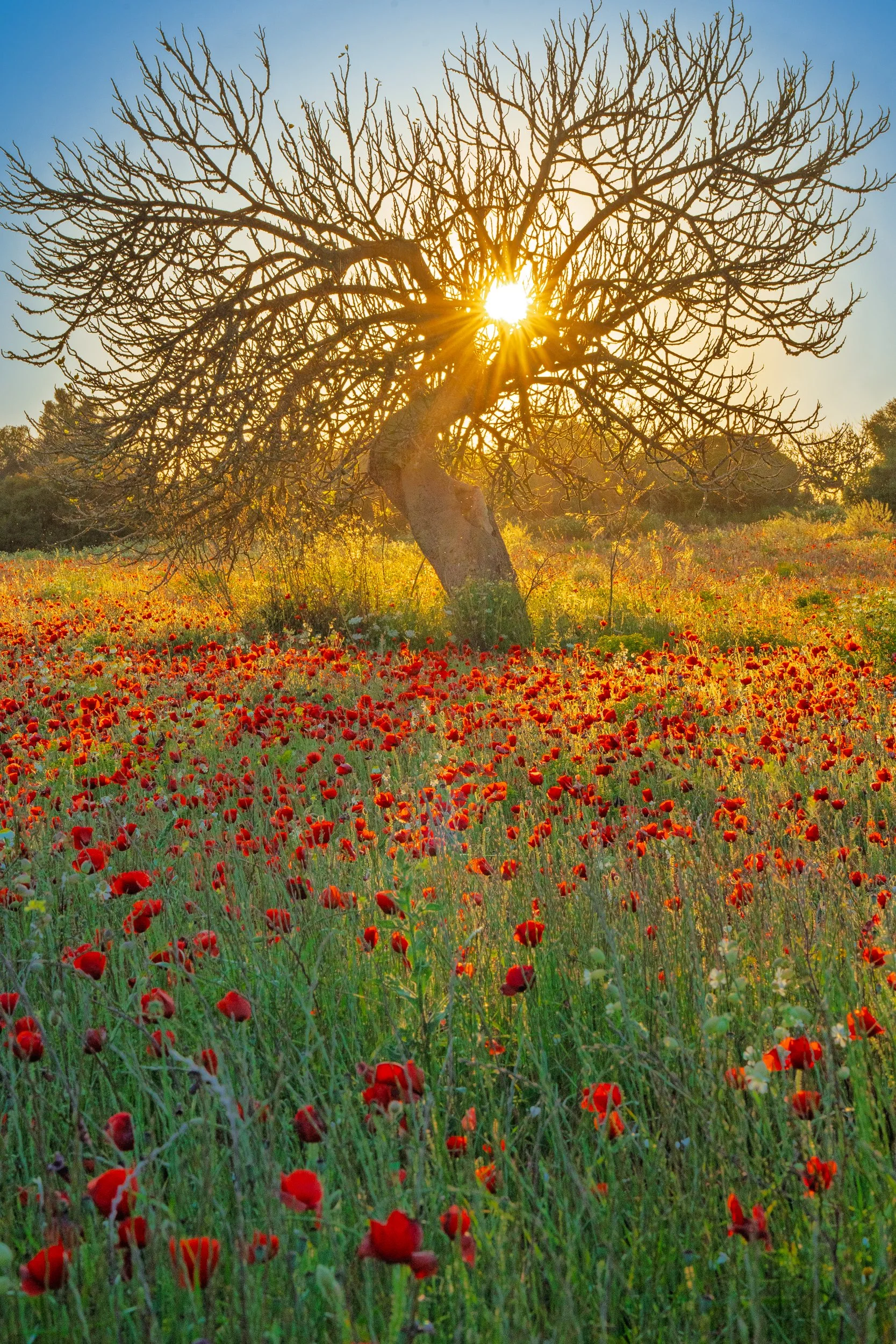 Paisajes-27.jpg
