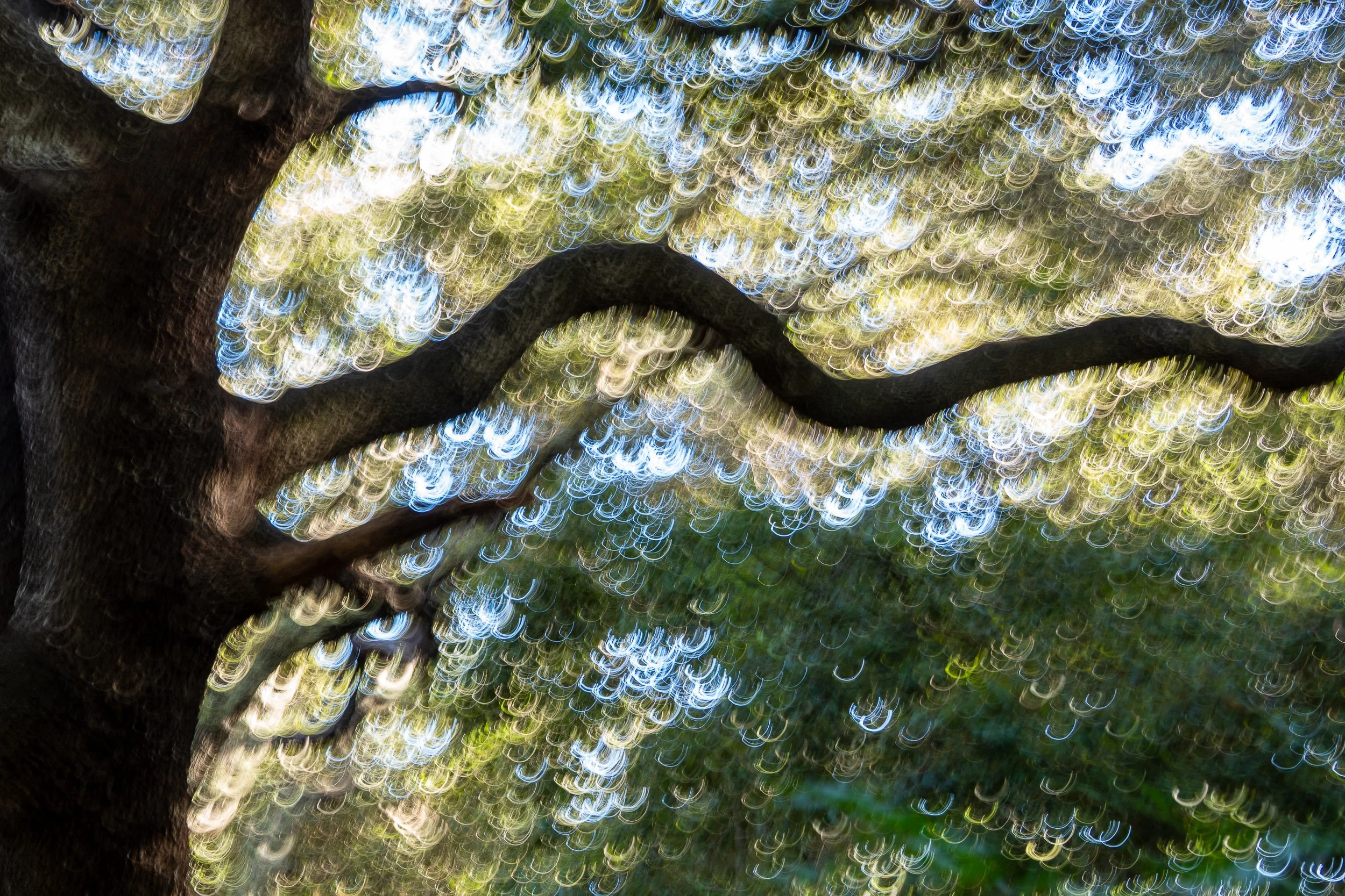 Naturaleza-16.jpg