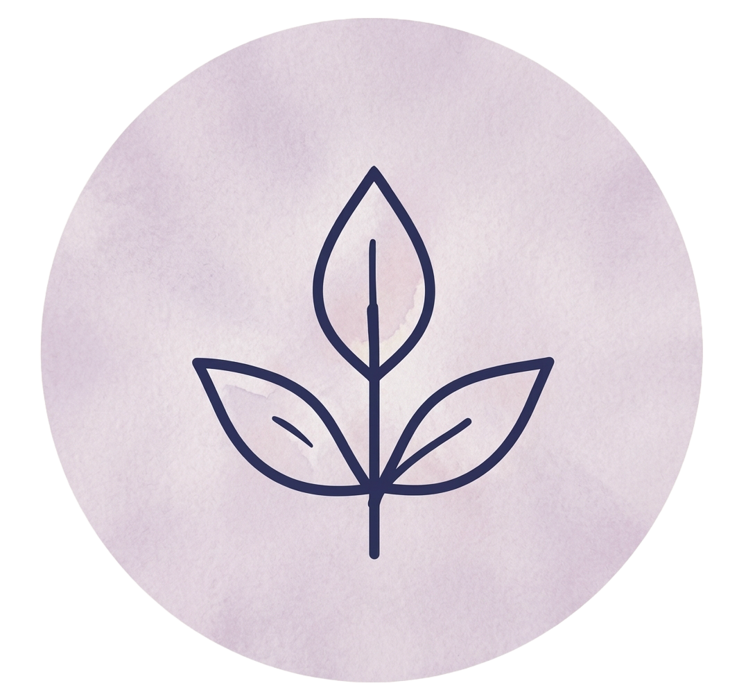 Mentorship & Events