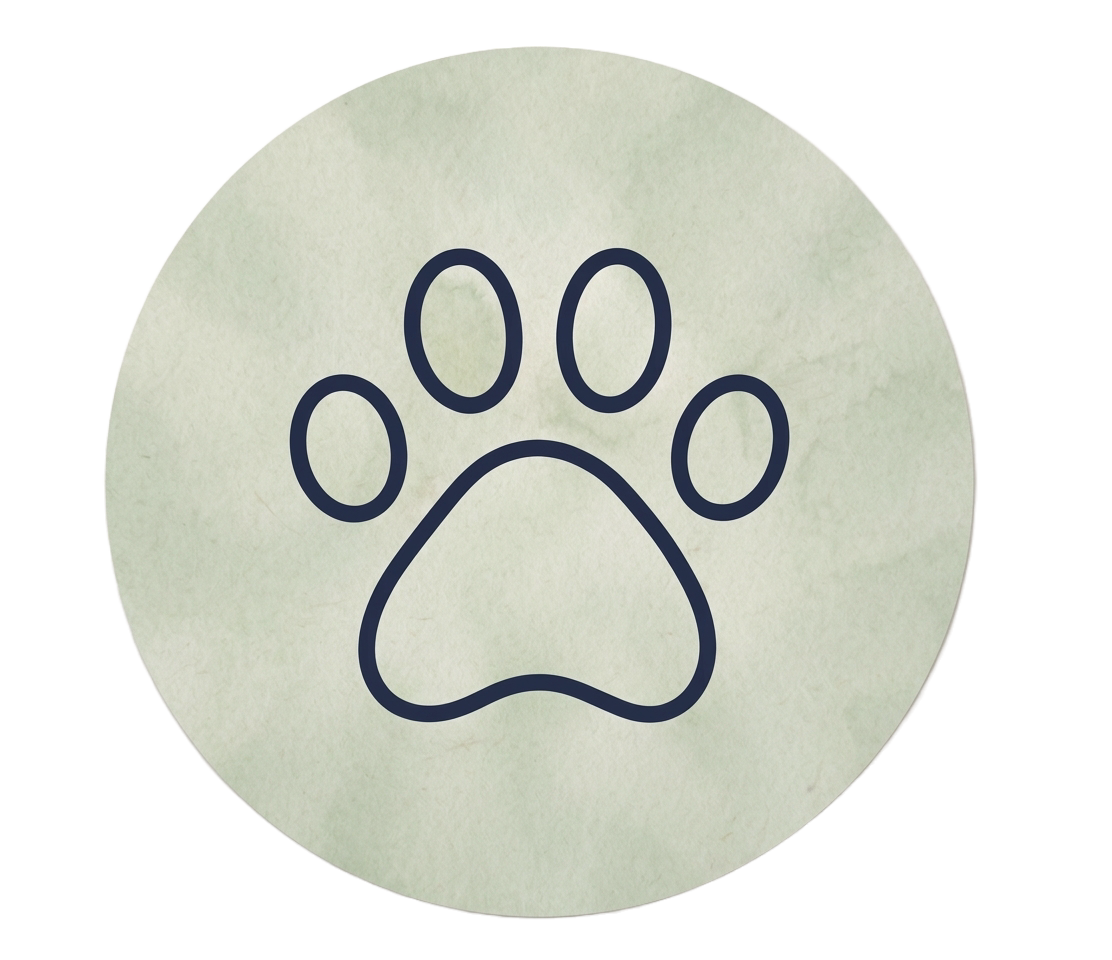 Animal Communication
