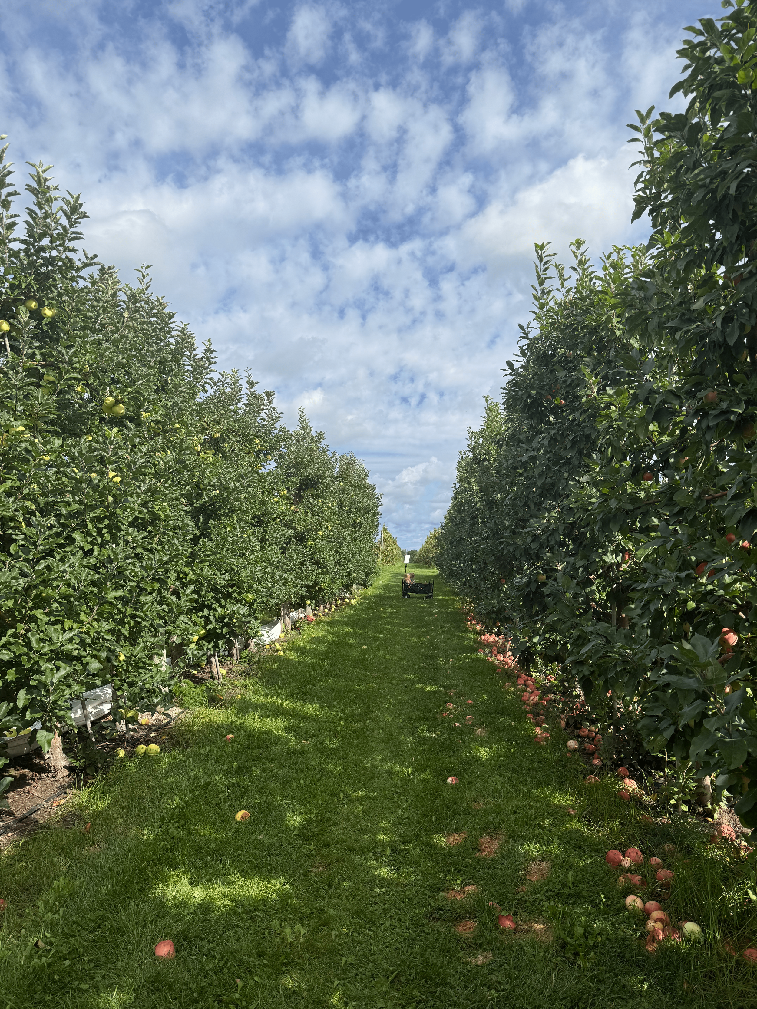 IMG_1216 (1).png