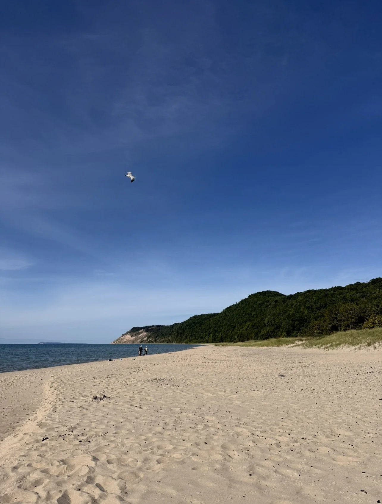 Esch Beach with Kids
