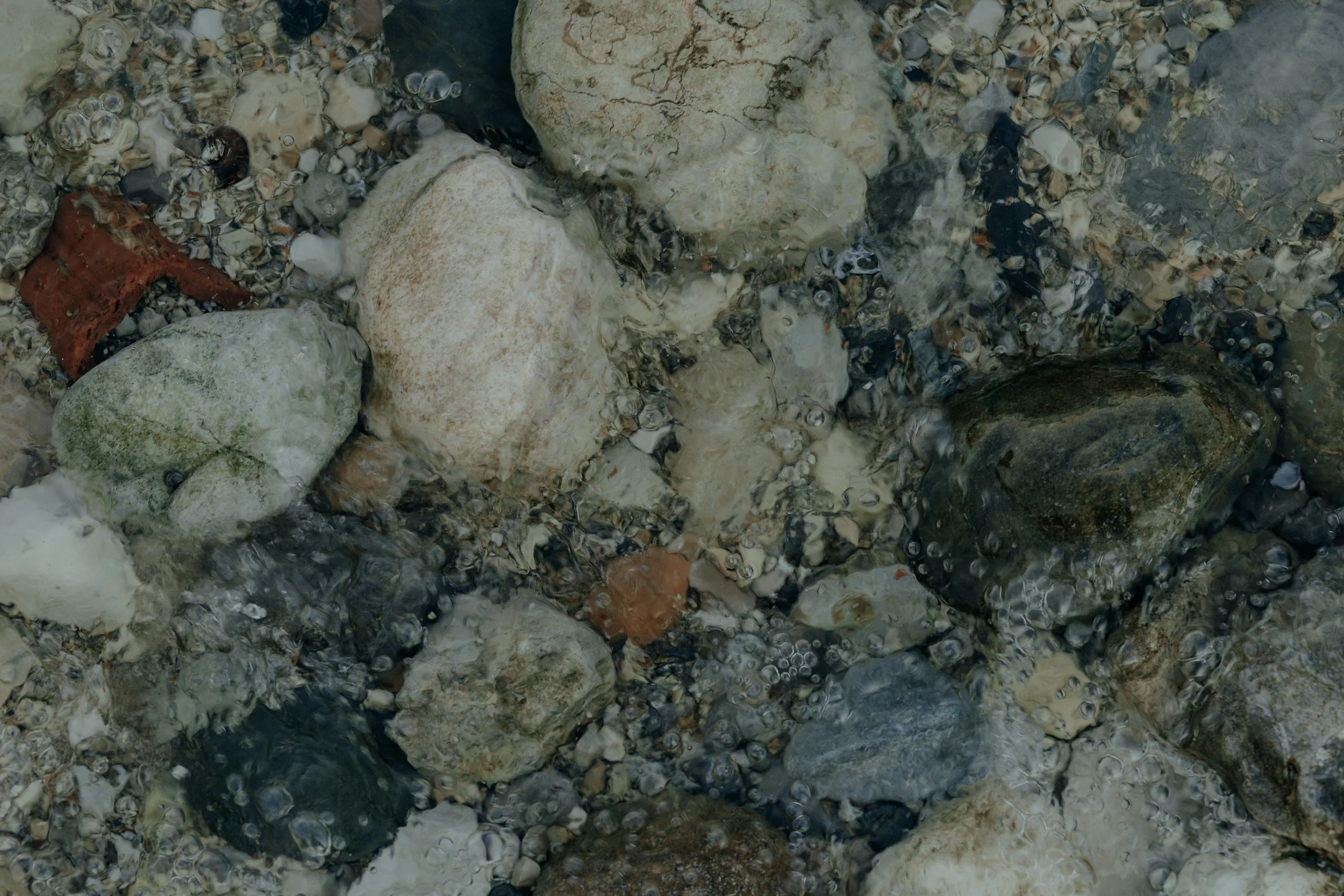 Earth Science Week & National Fossil Day Celebration