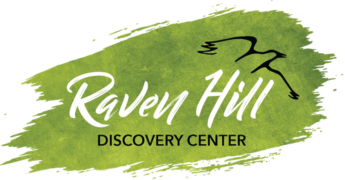 FREE Second Saturdays at Raven Hill Discovery Center