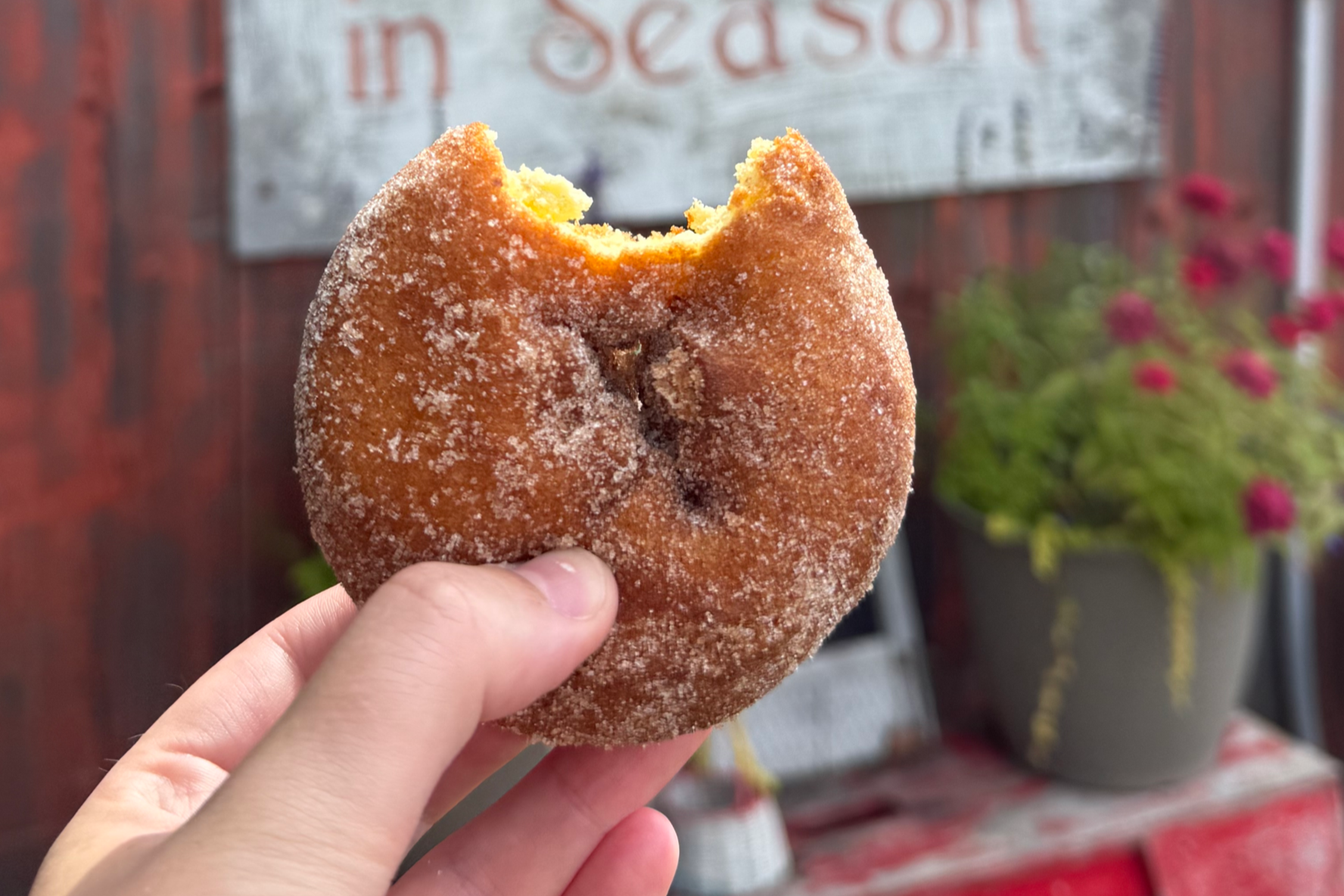 Fall Eats, Treats, &amp; Drinks
