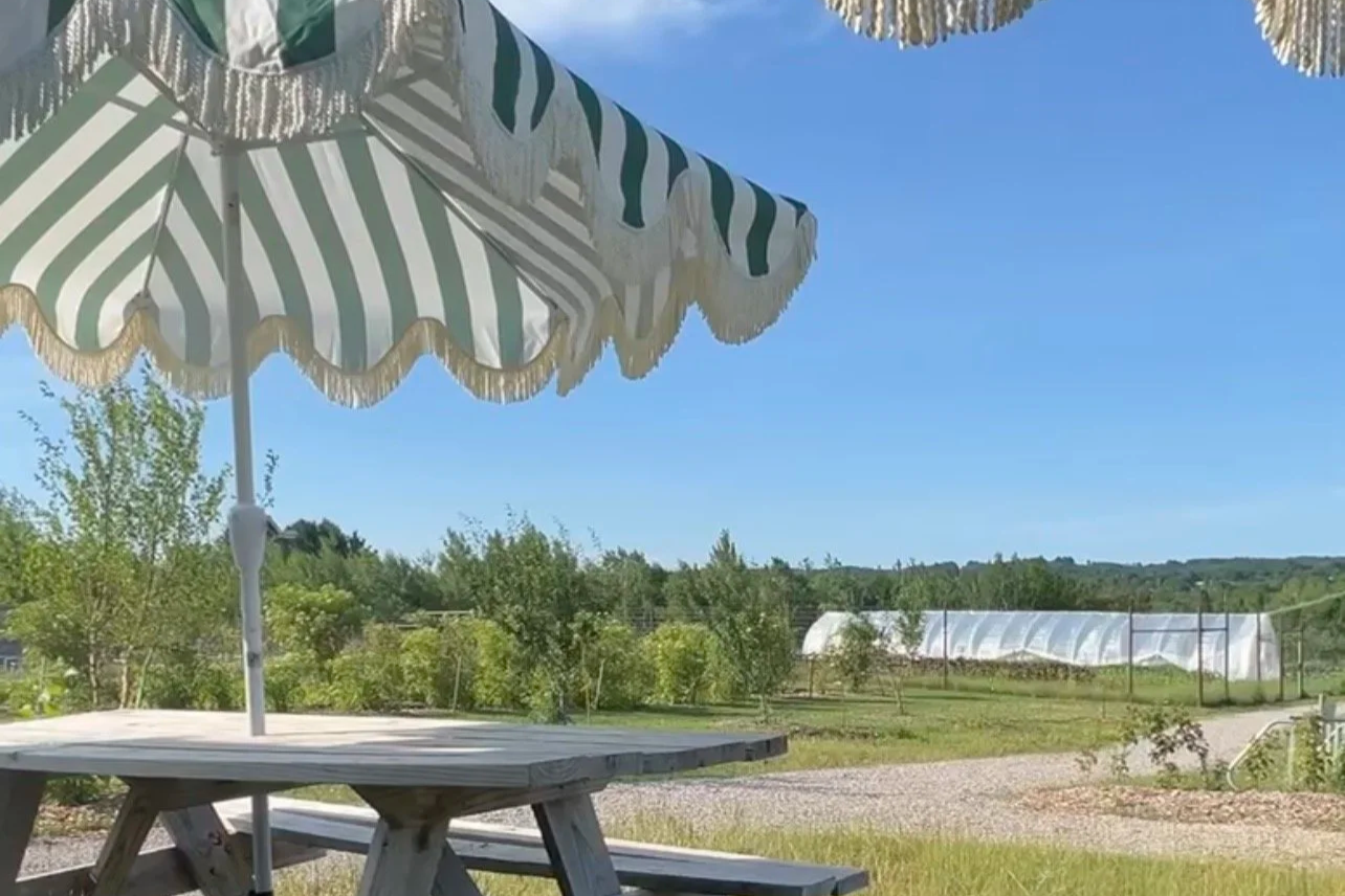Picnic Table at Farm Club Bakery in Traverse CIty