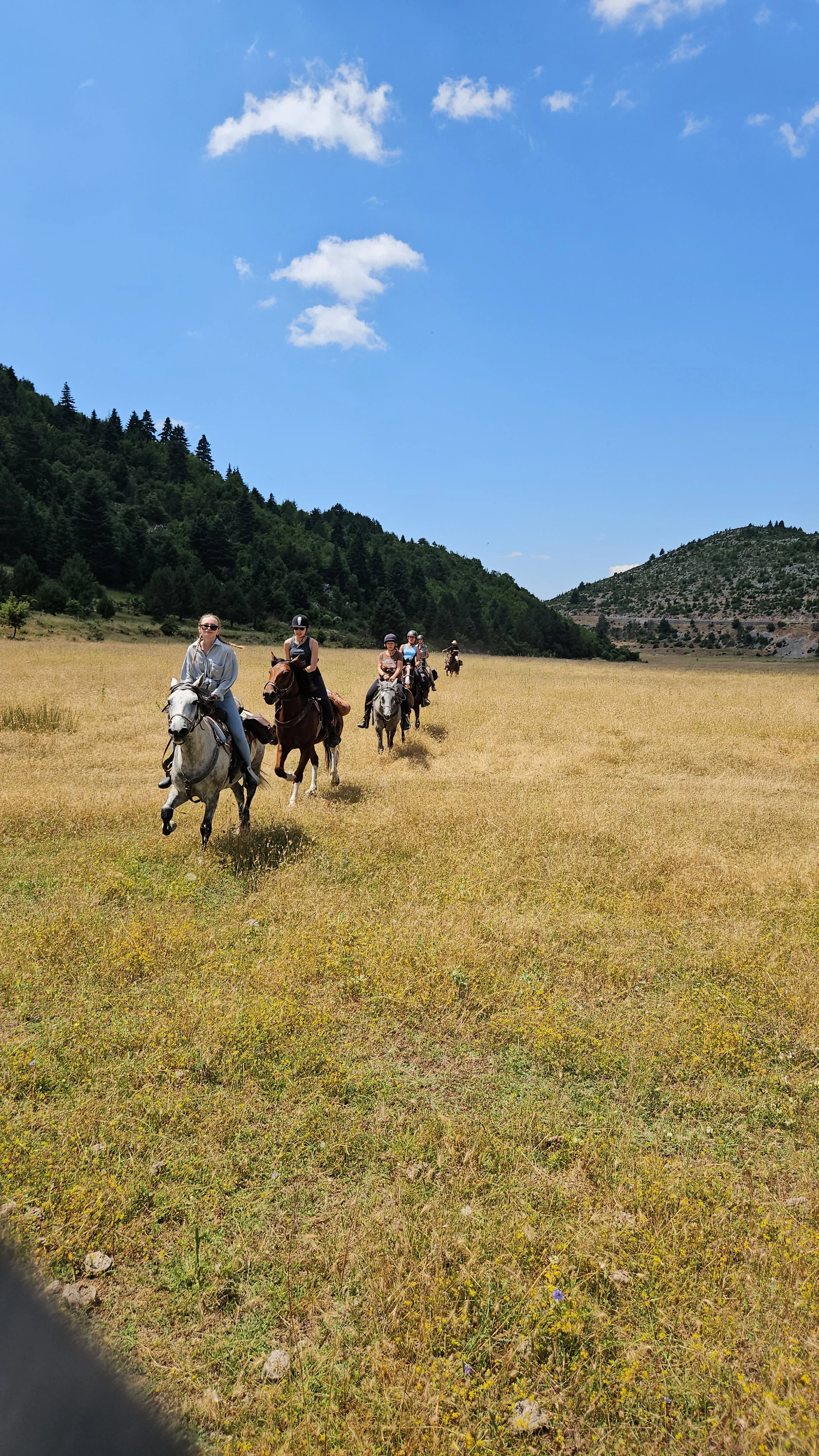 A group of six people riding horses in a grassy field with hills and trees in the background under a blue sky with a few clouds.