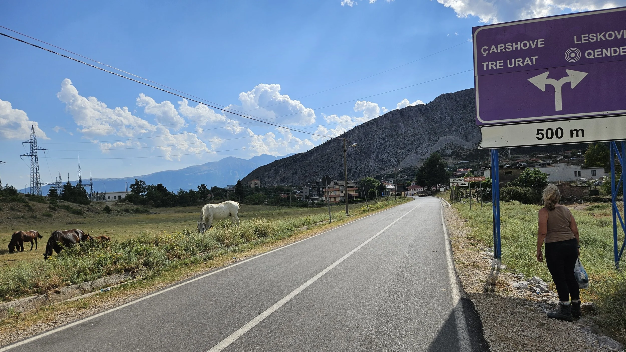 A rural road with a woman walking and a woman sitting near a signboard, horses grazing in a field, mountains in the background, and a blue sky with scattered clouds.