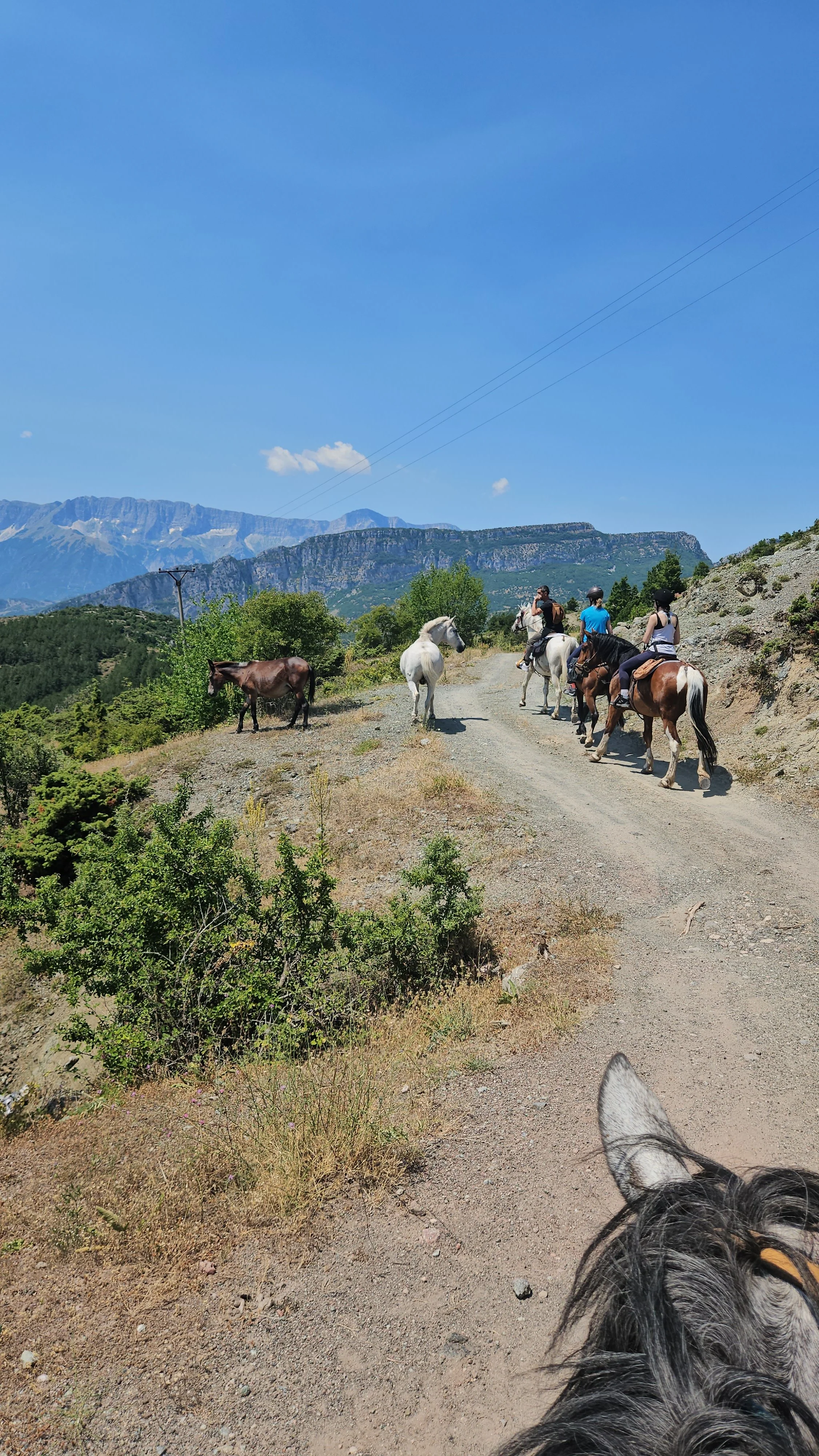 A group of people riding horses on a dirt trail in a mountainous landscape with green vegetation, clear blue sky, and a few clouds.
