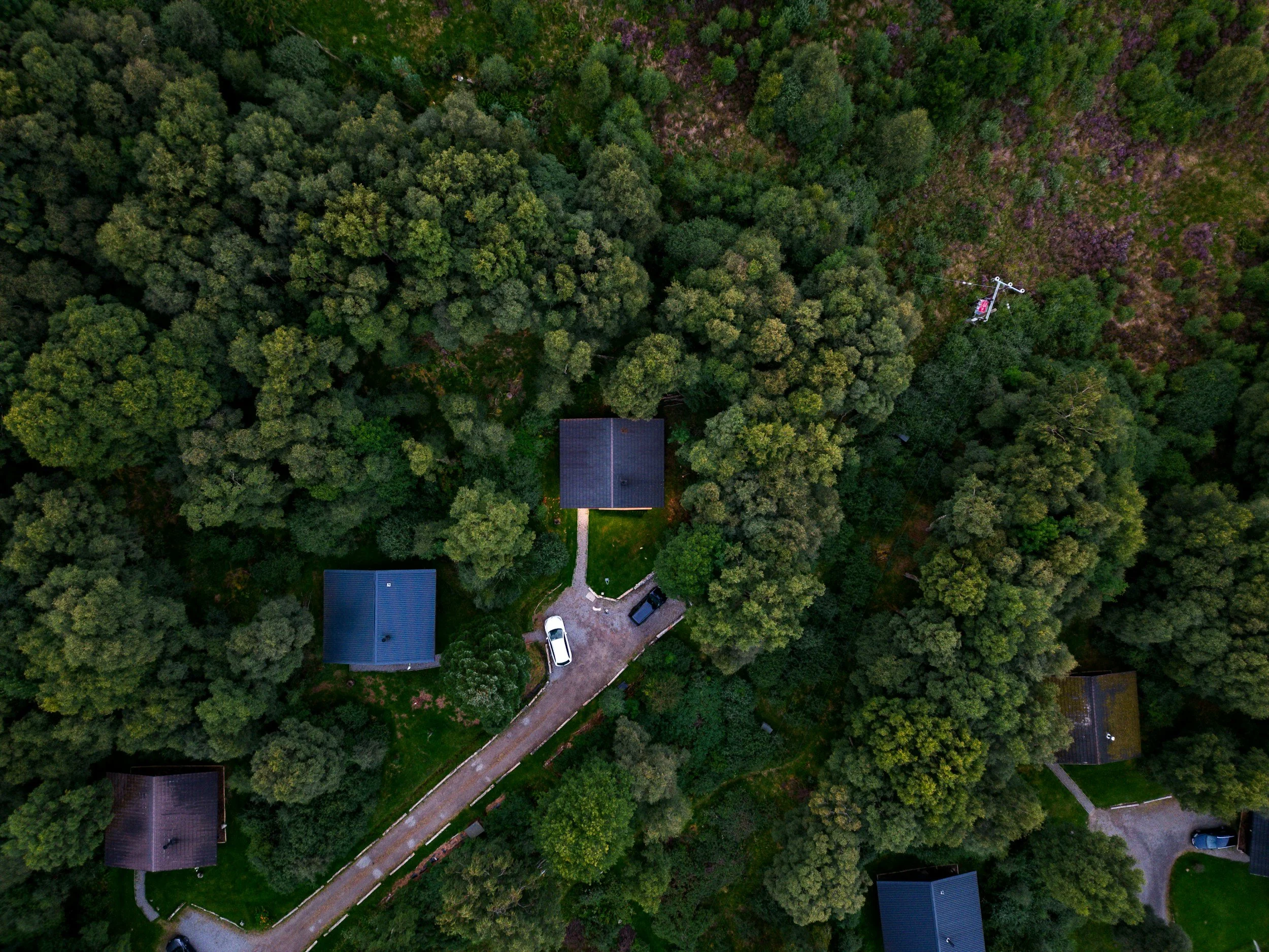 An aerial view of a wooded area with houses and a winding driveway, with a utility pole visible on the right side.