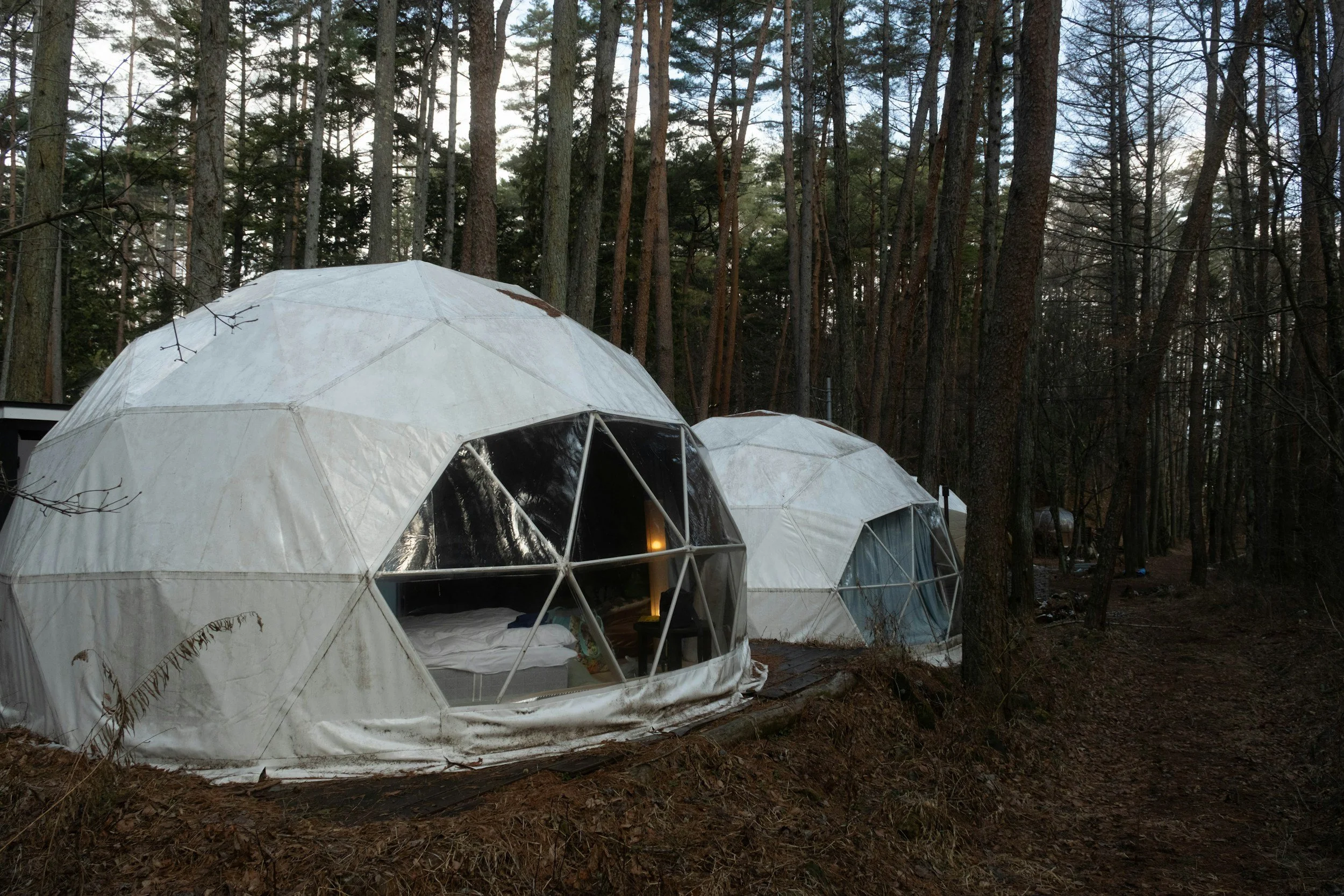 Two geodesic domes set up in a wooded area, with trees surrounding them.