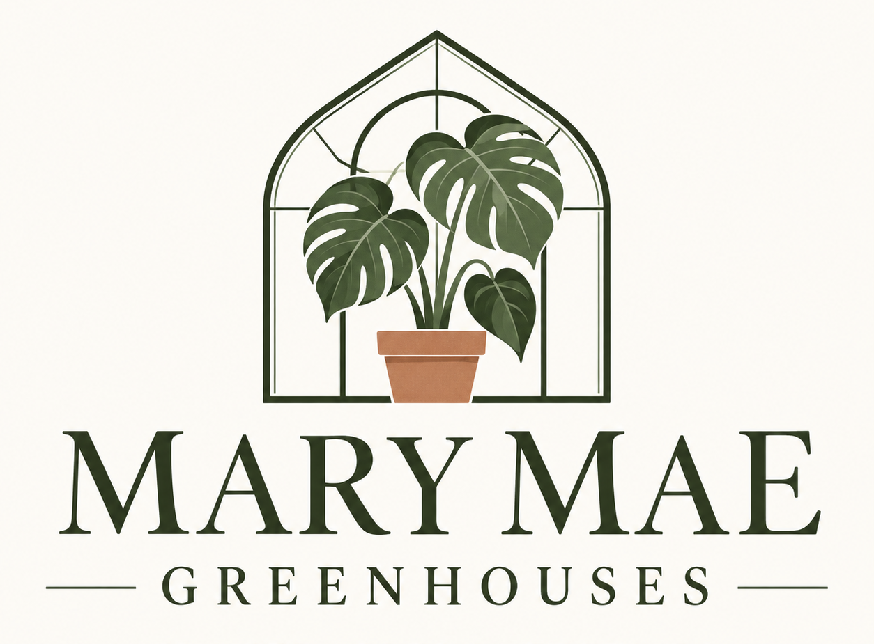 Logo for Mary Mae Greenhouses featuring a potted Monstera plant inside a greenhouse outline.