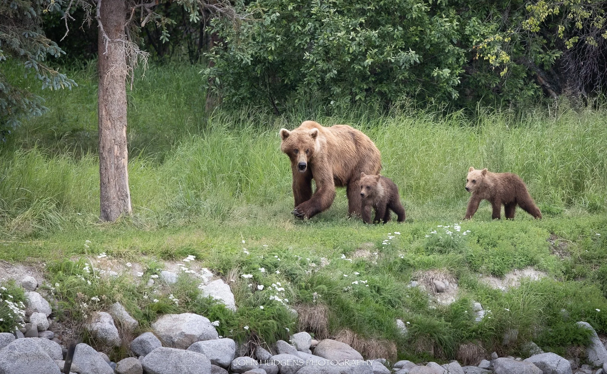 Family Stoll 072826.jpg