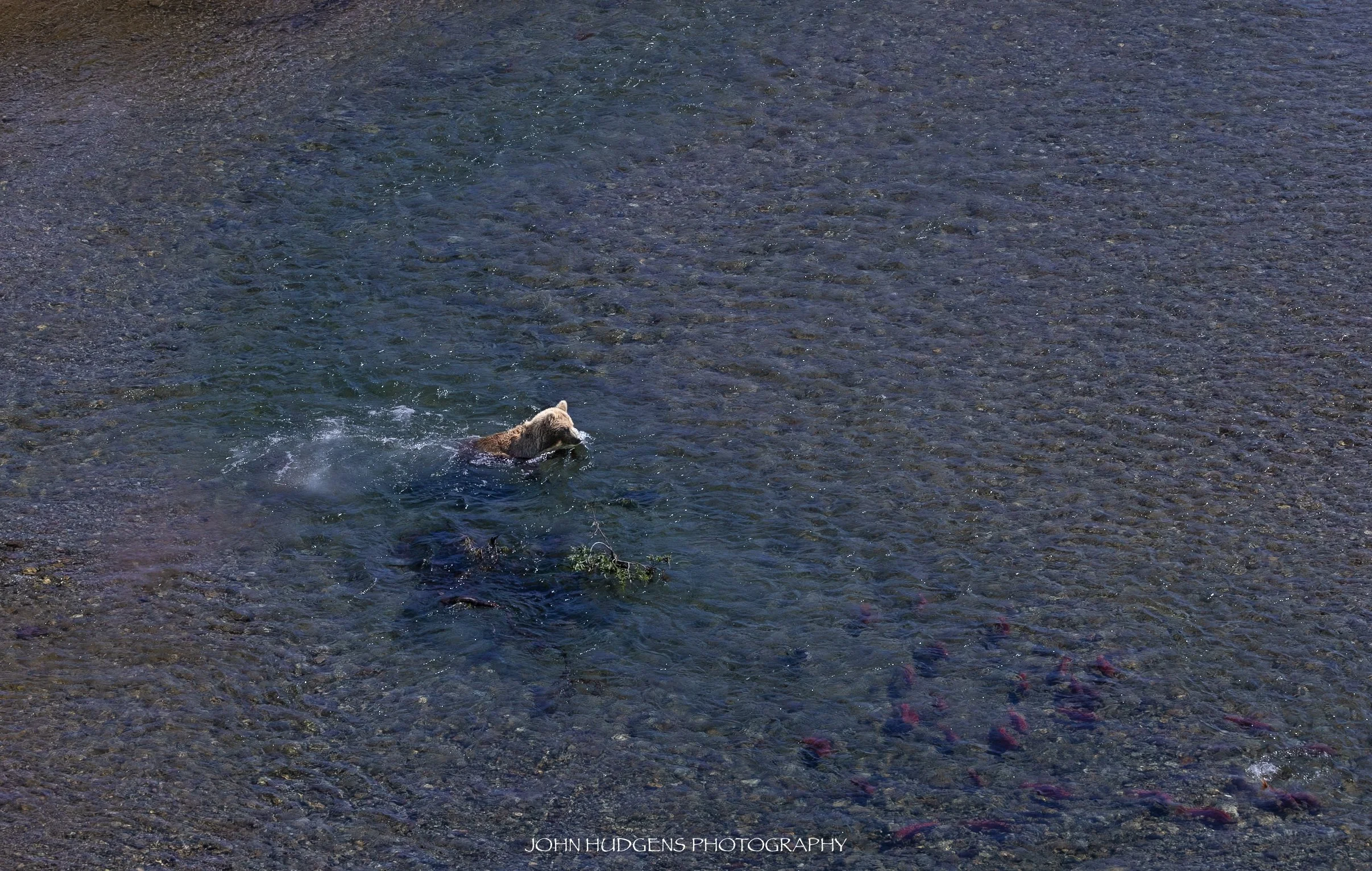 Fish Pond2 072626.jpg