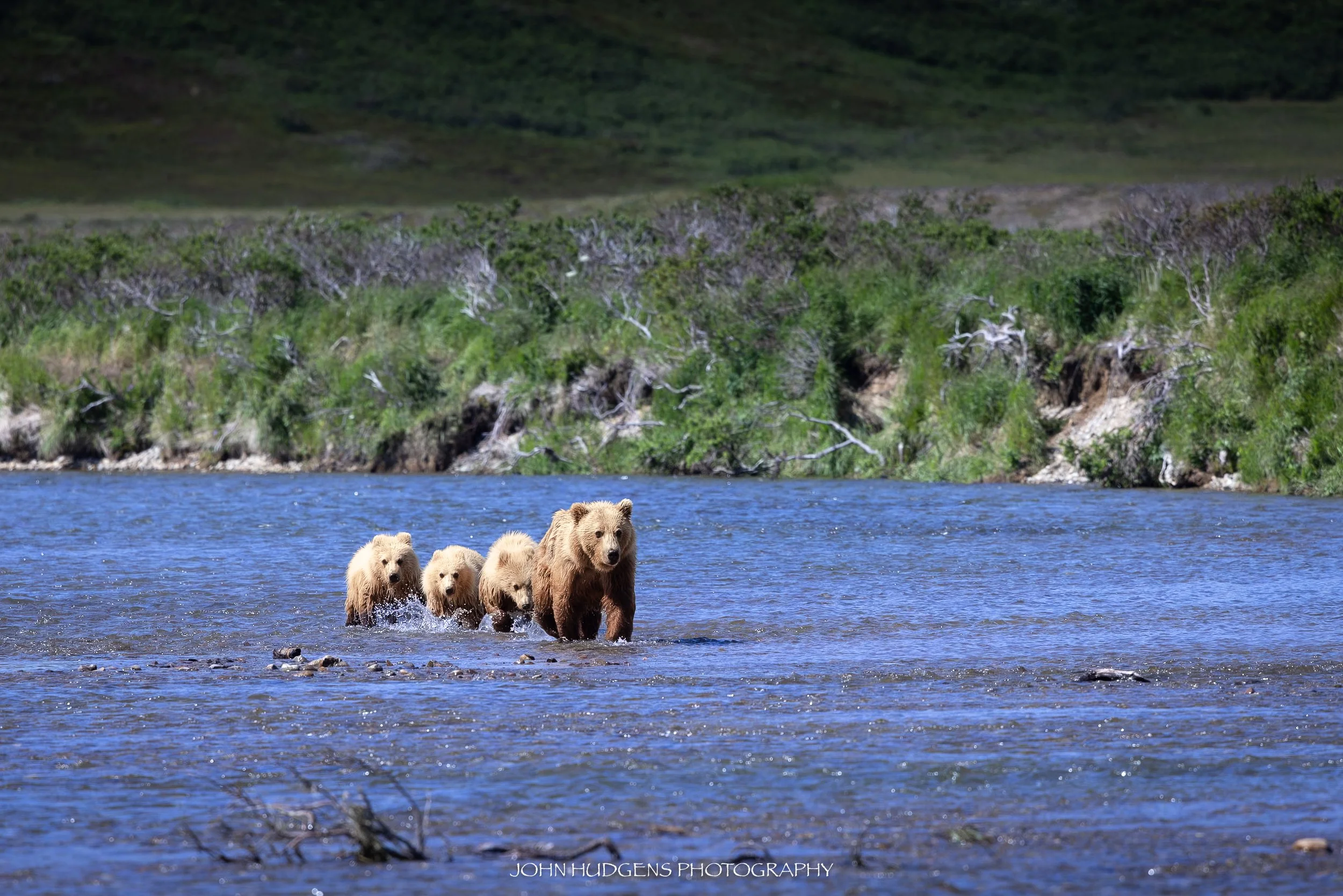 Four Bears 072626.jpg