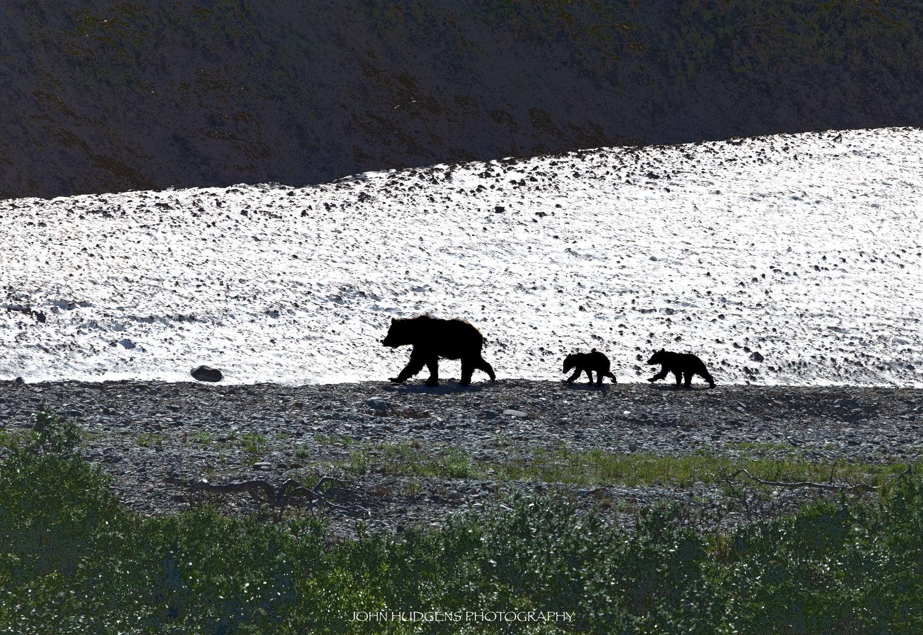 Silhouettes 072626.jpg