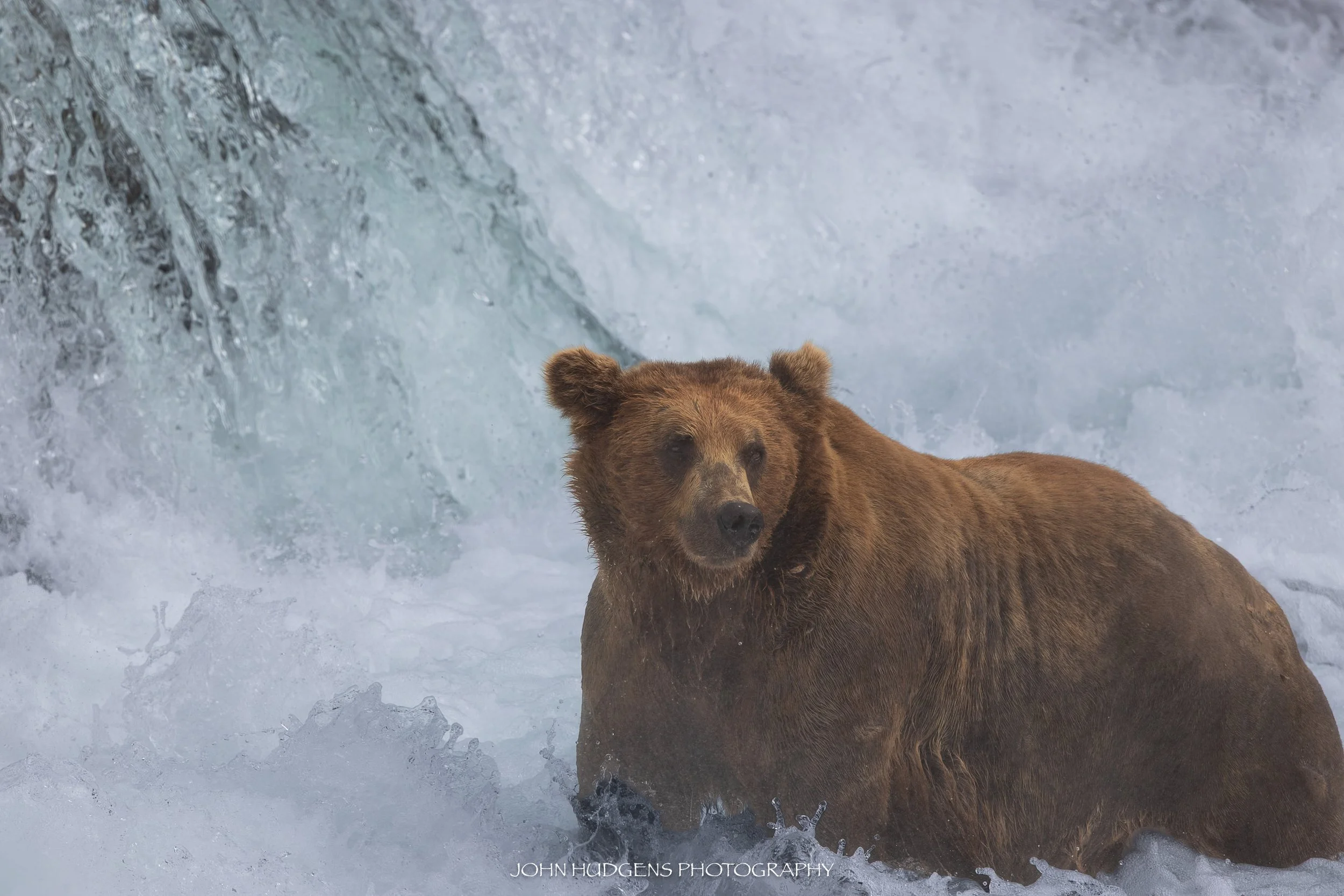 Falls Boss 072826.jpg