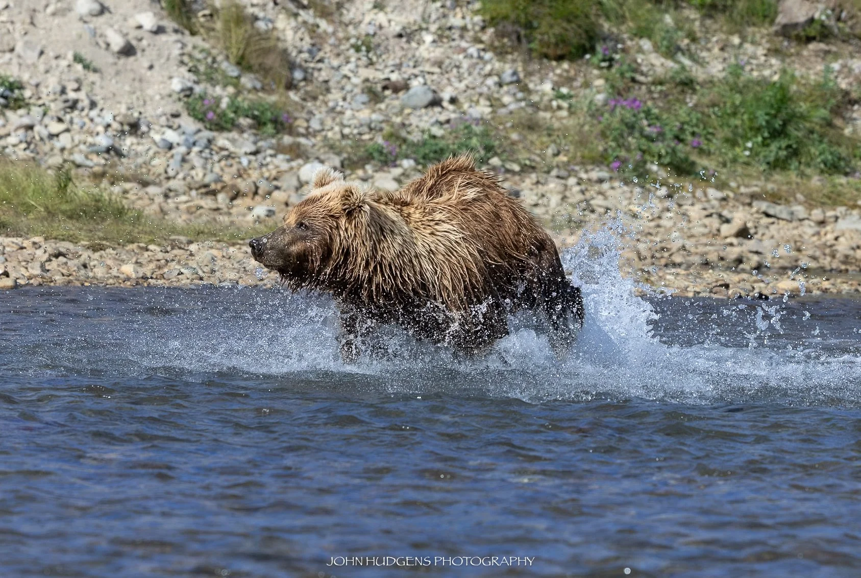 Splash 073026.jpg