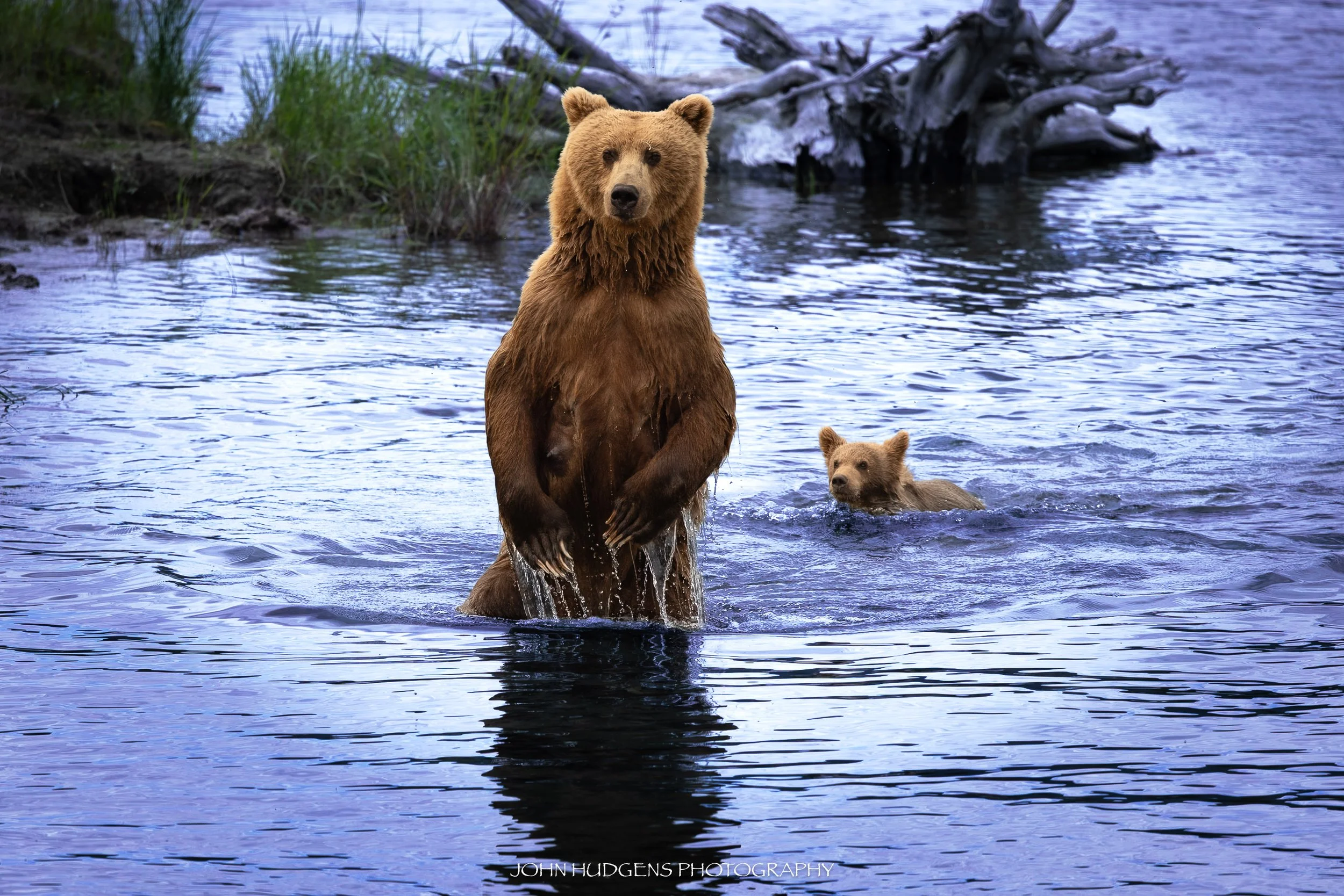 Spotted 072826.jpg