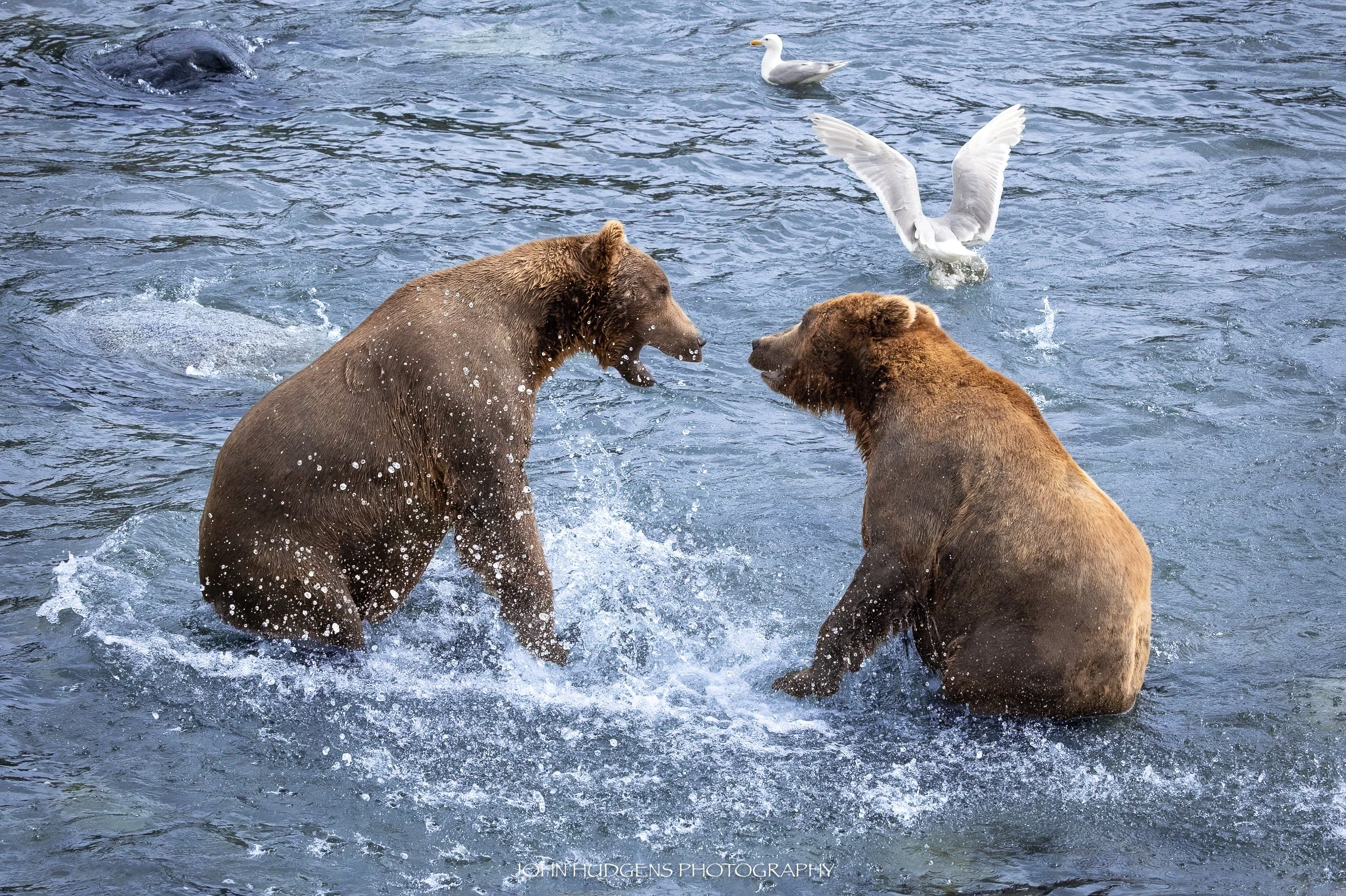 Stand Off 072826.jpg